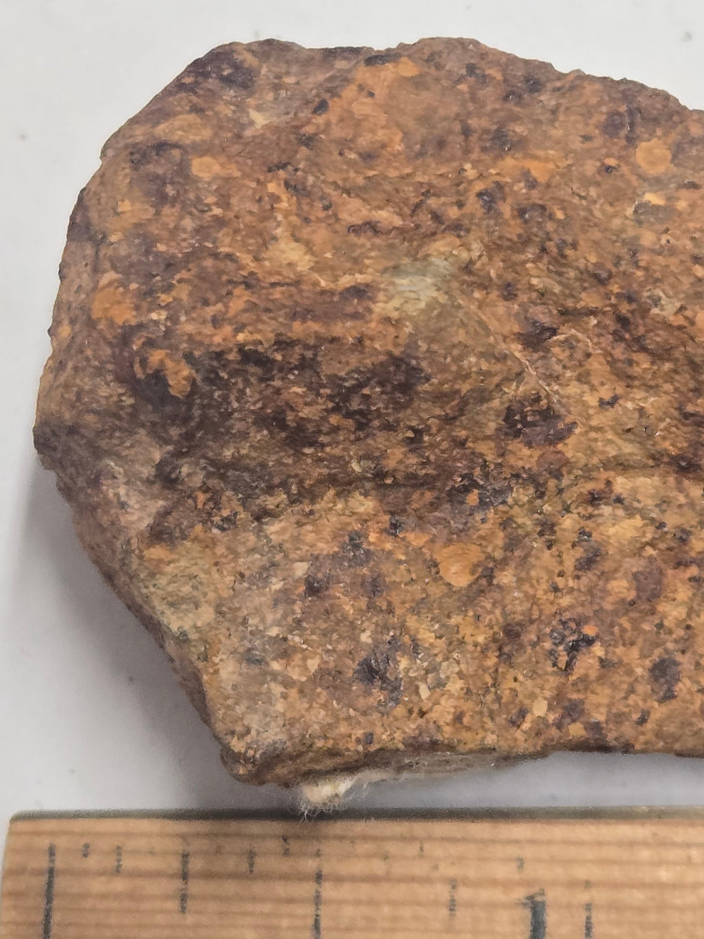Gold Basin Meteorite specimen