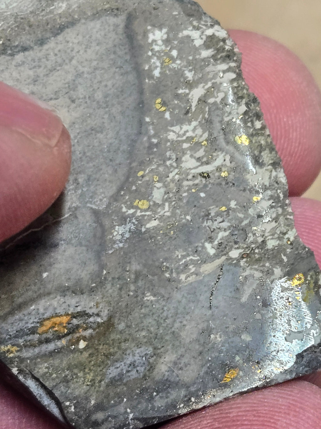 Gold from Sleeper mine