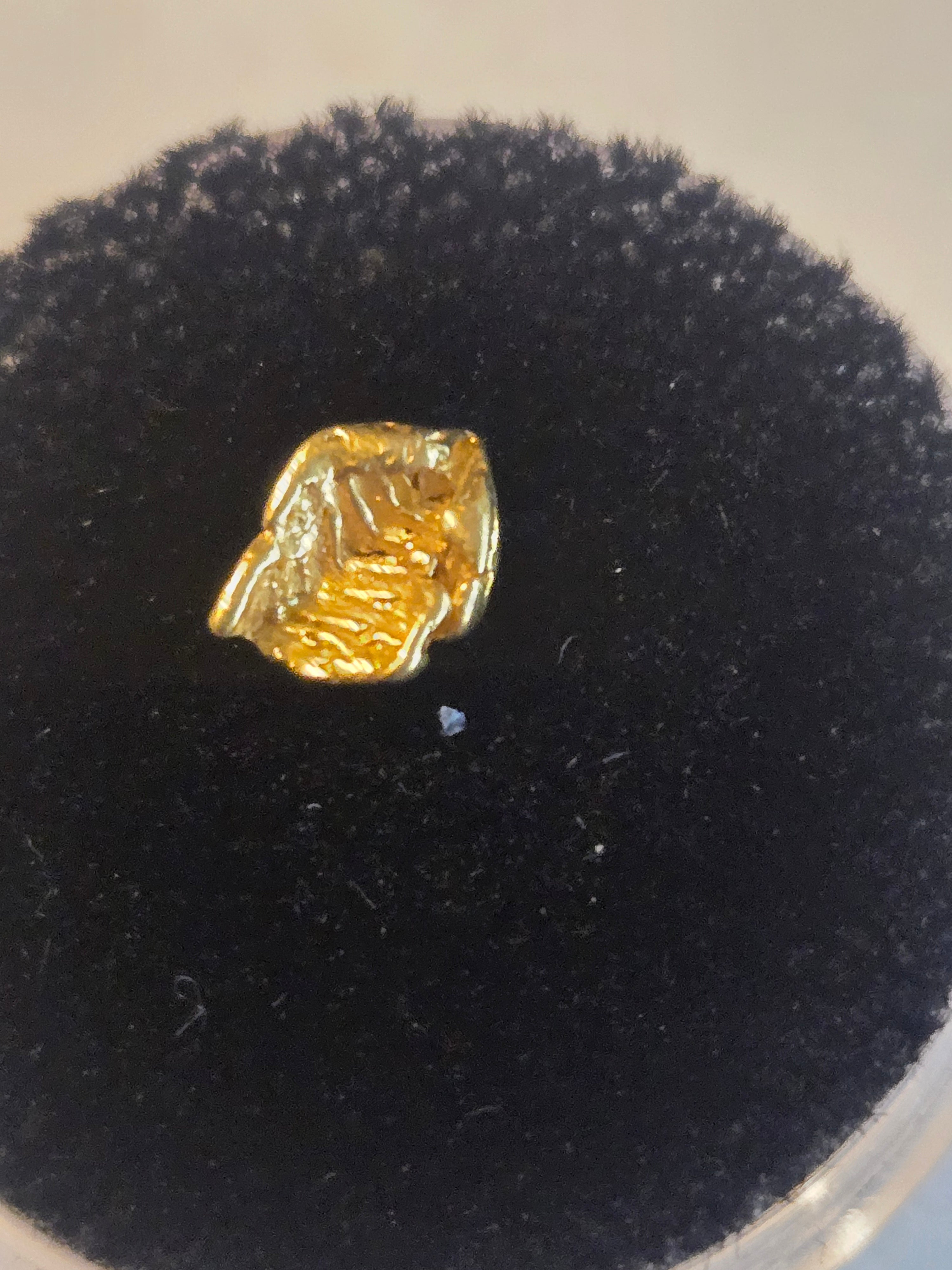 Gold nugget