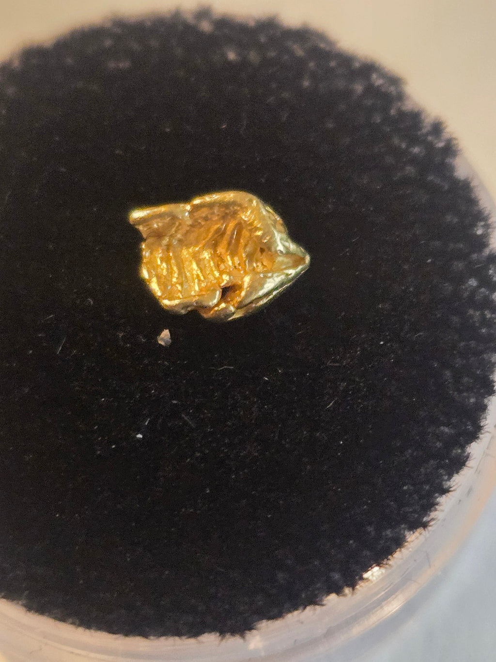 Gold nugget