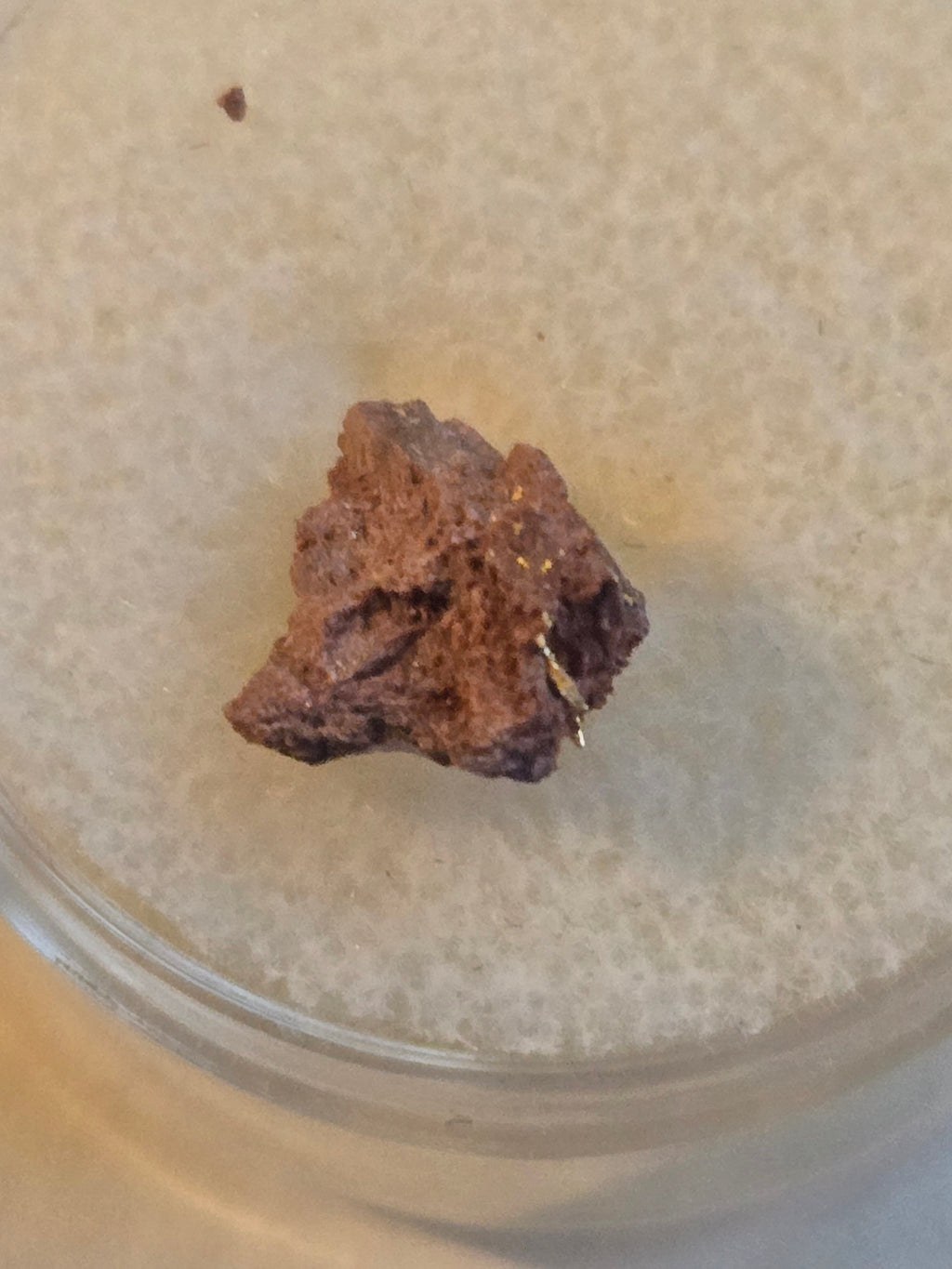 Crystallized Gold on Erythrite specimen