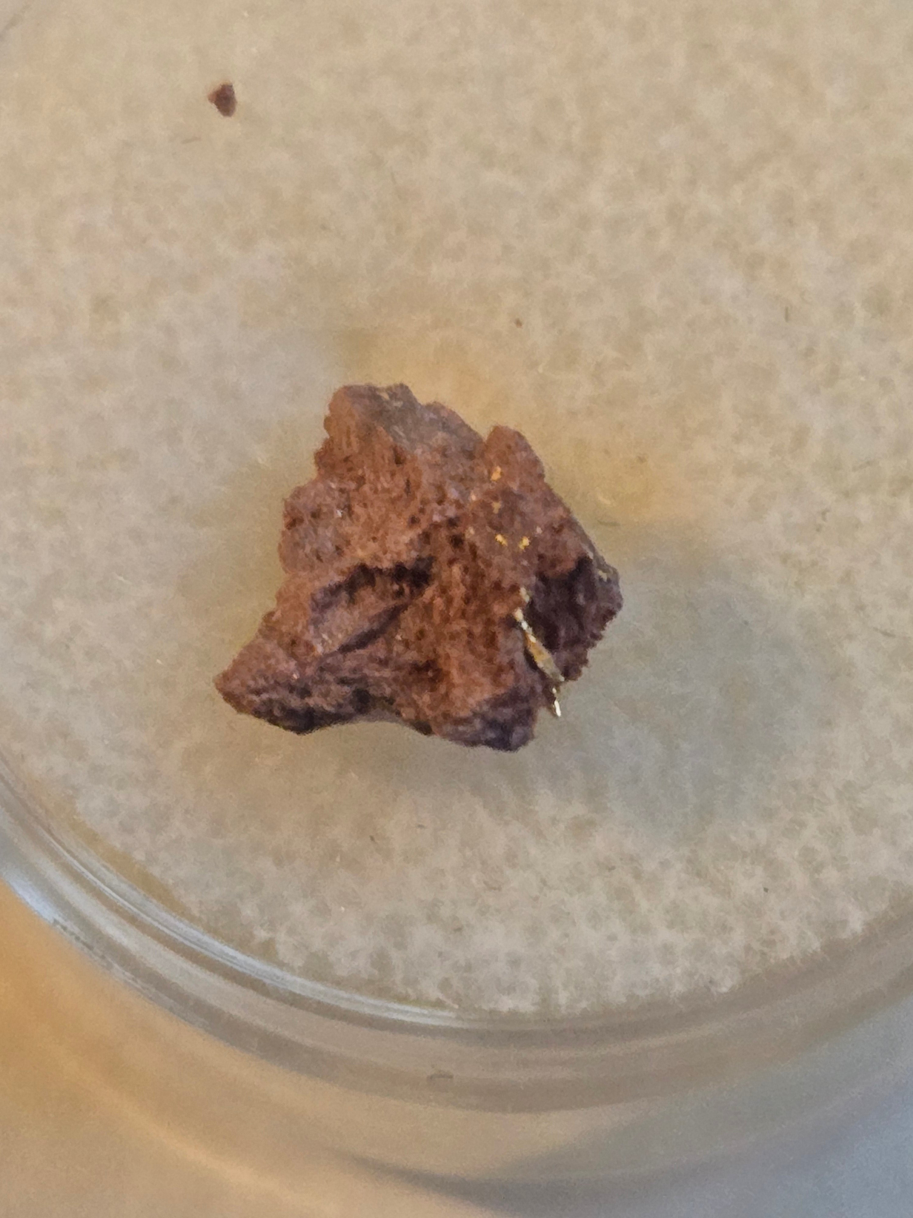 Crystallized Gold on Erythrite specimen