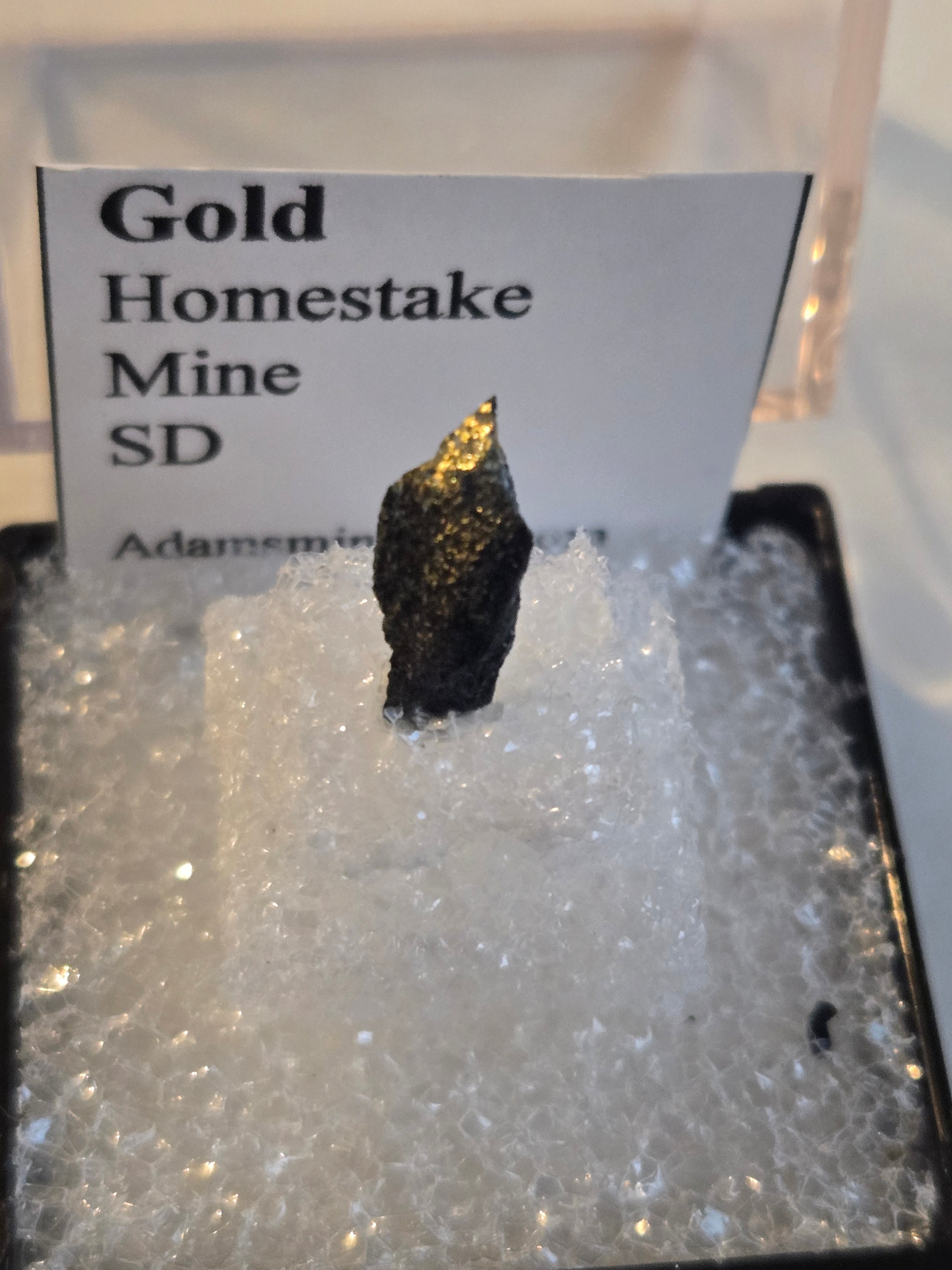 Gold (personal collection)