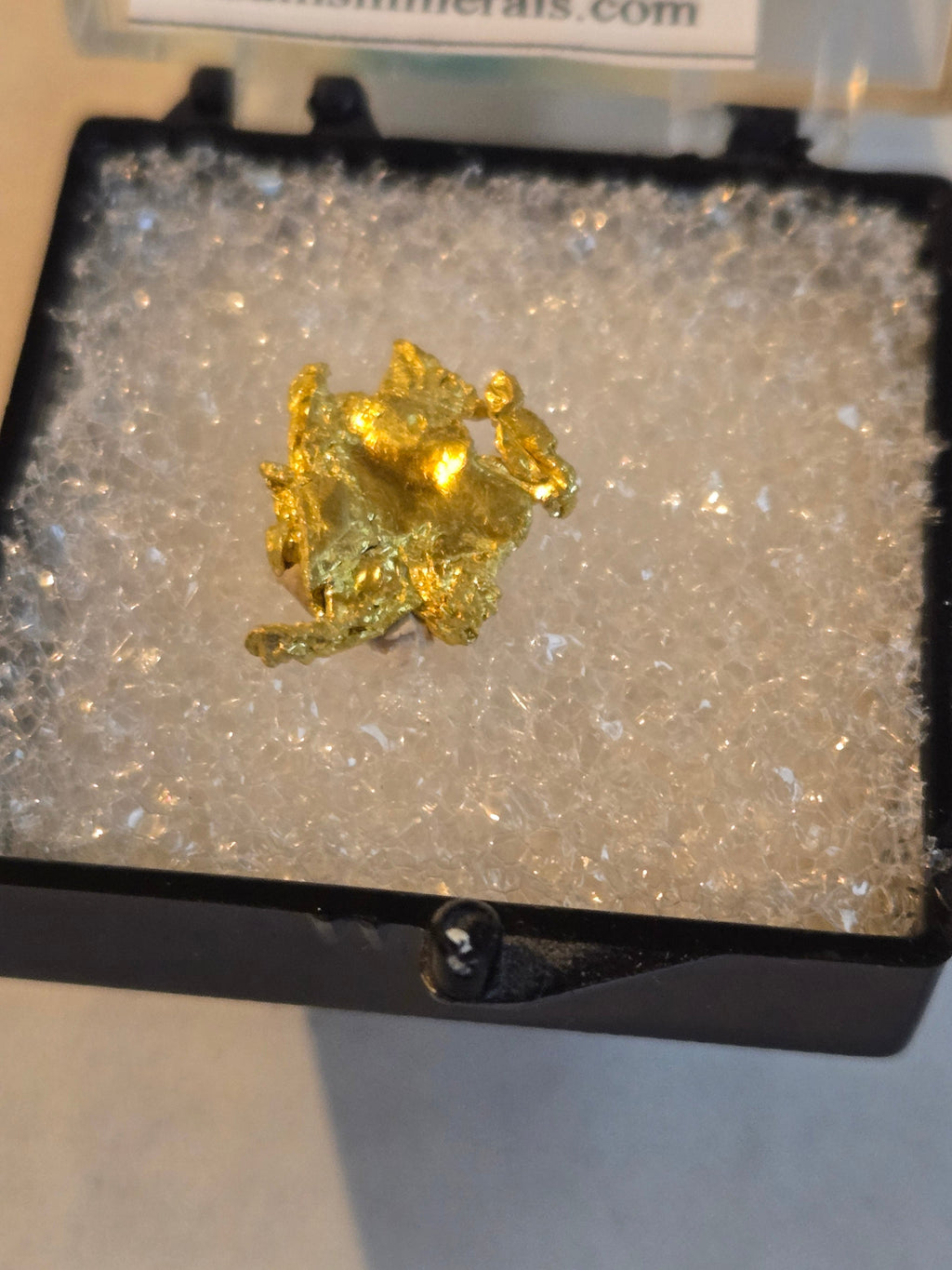 Gold (personal collection)