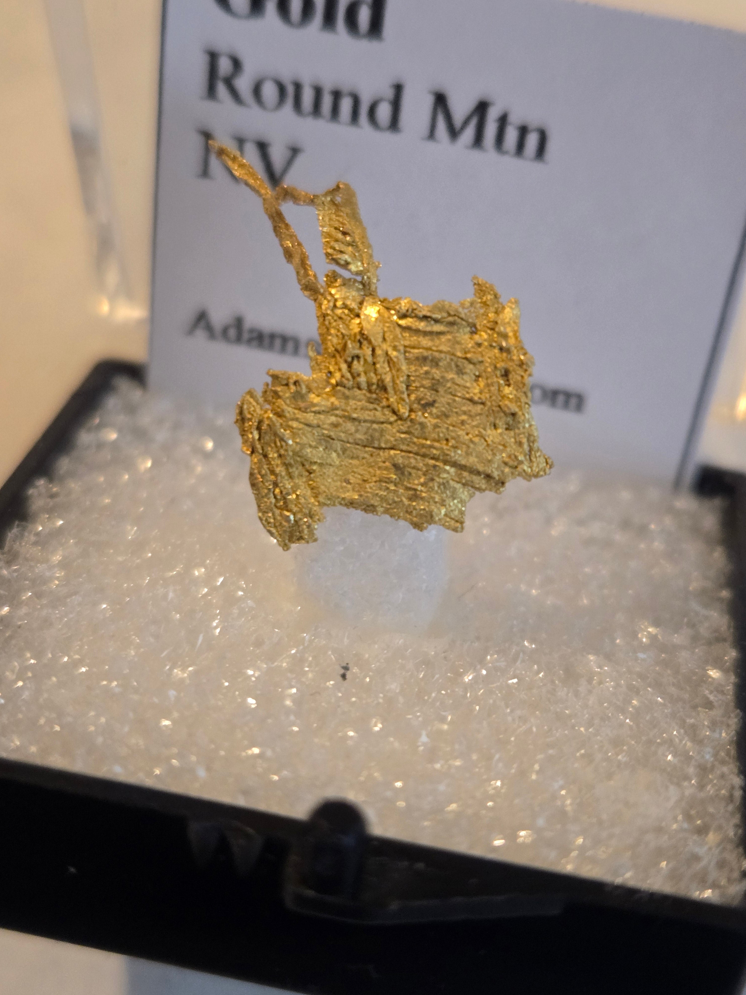 Gold (personal collection)