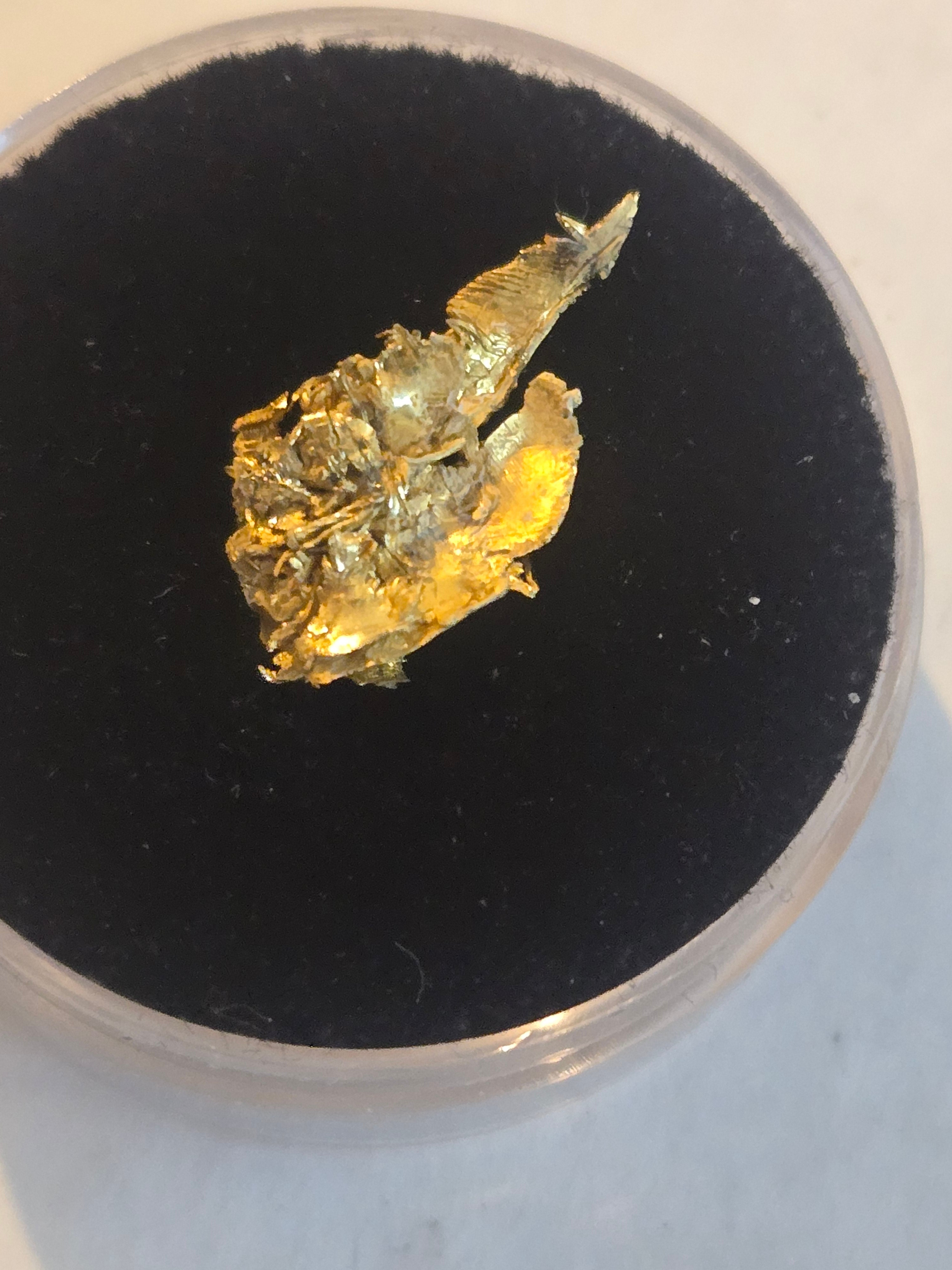 Gold Round Mountain