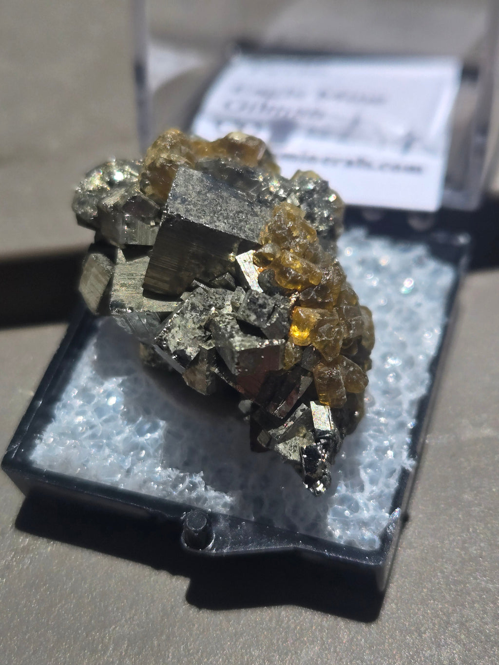 Golden barite on Pyrite