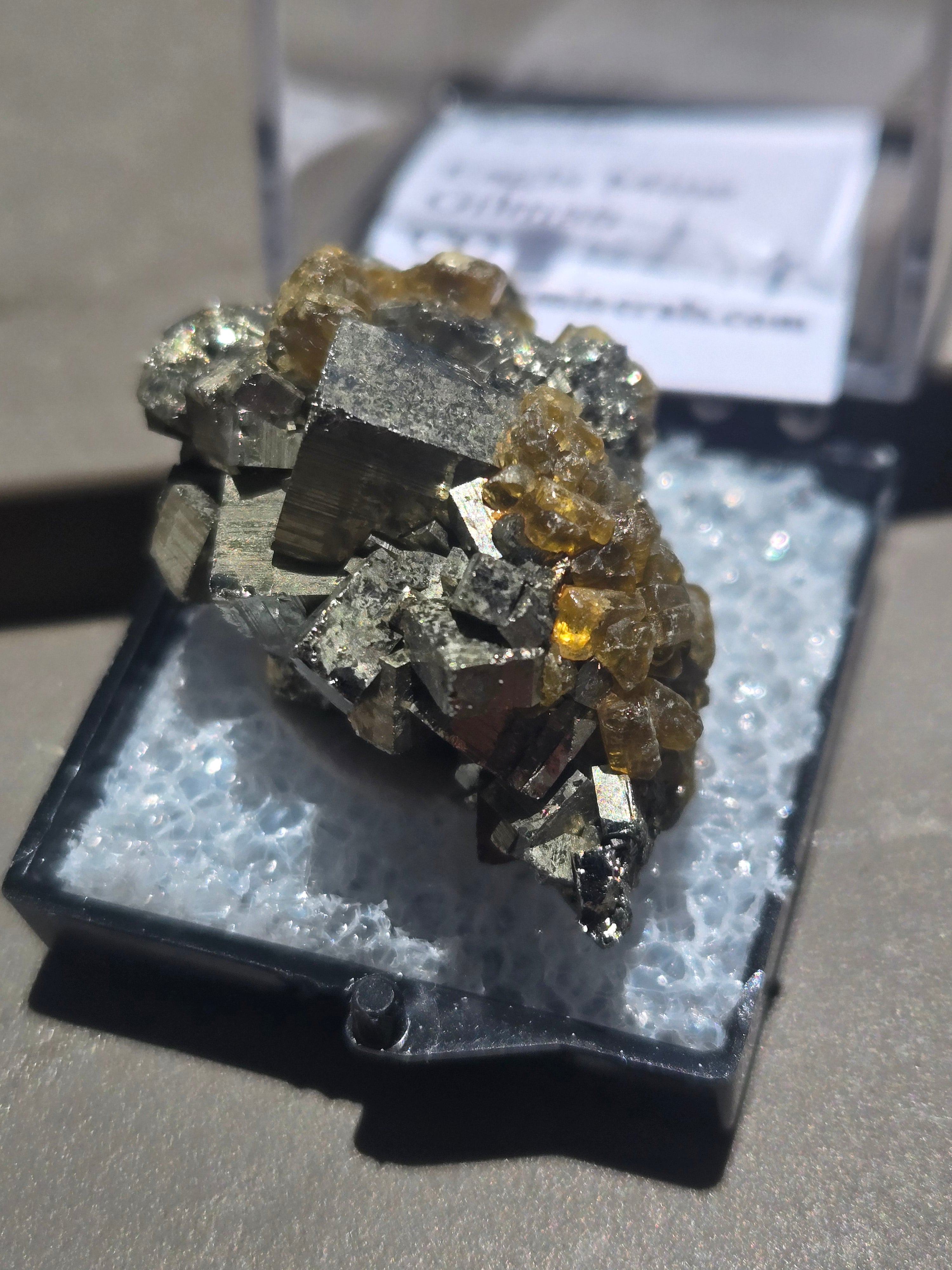 Golden barite on Pyrite