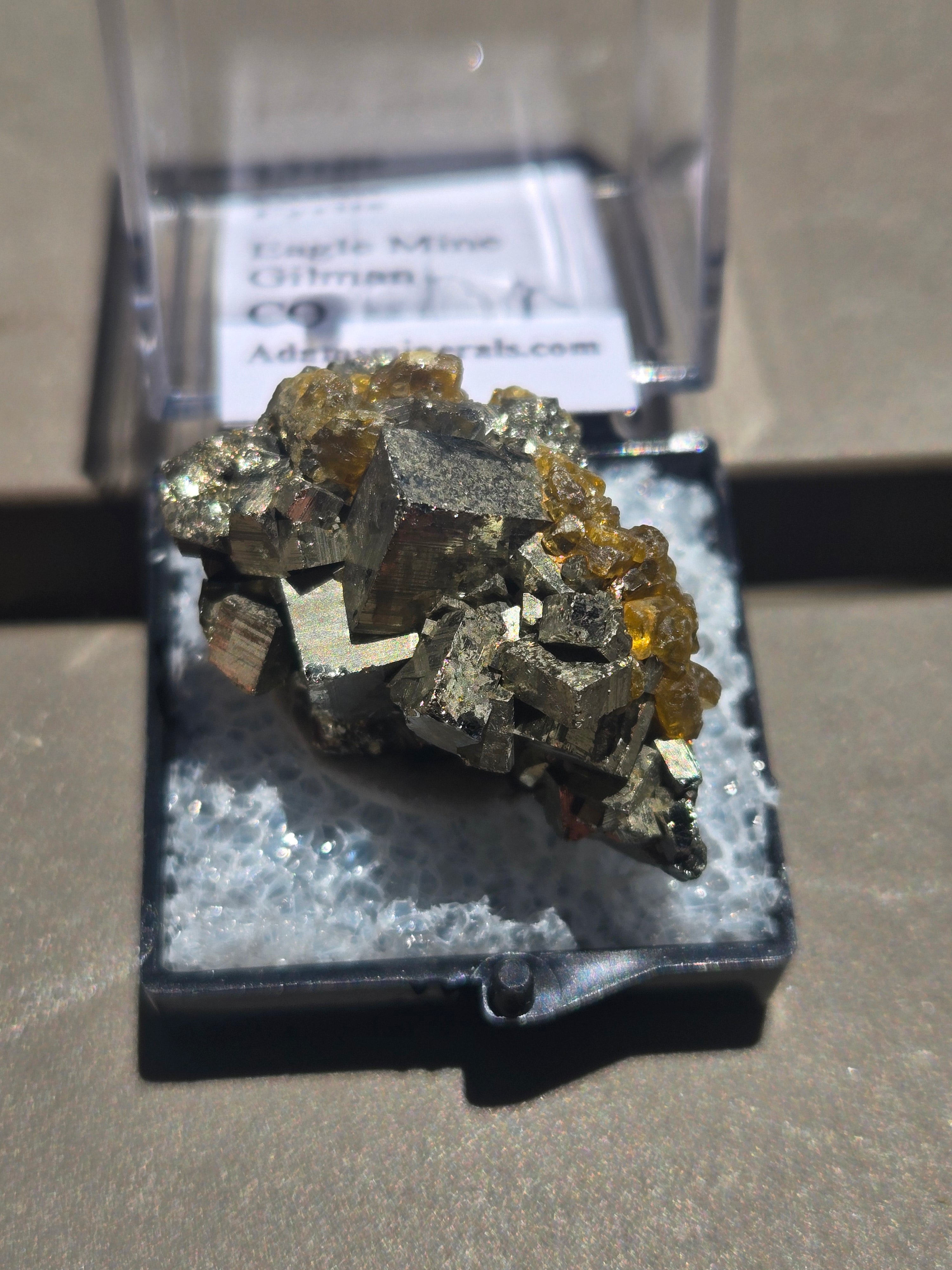 Golden barite on Pyrite