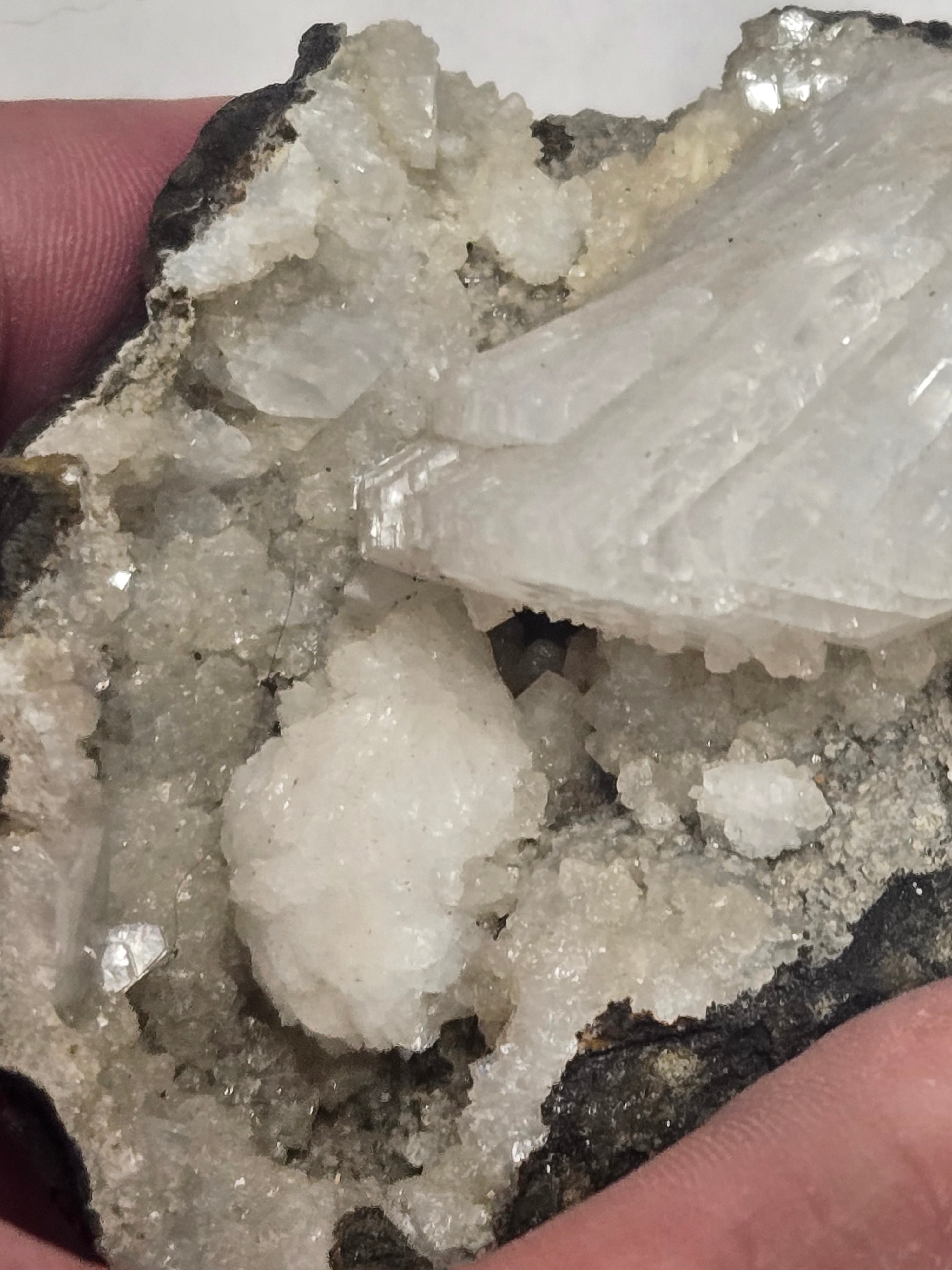 Goosecreekite