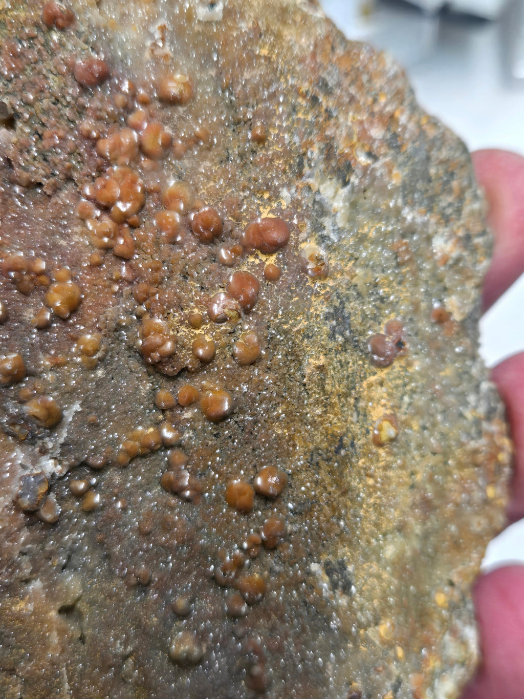 Greenockite included smithsonite Turkey fat