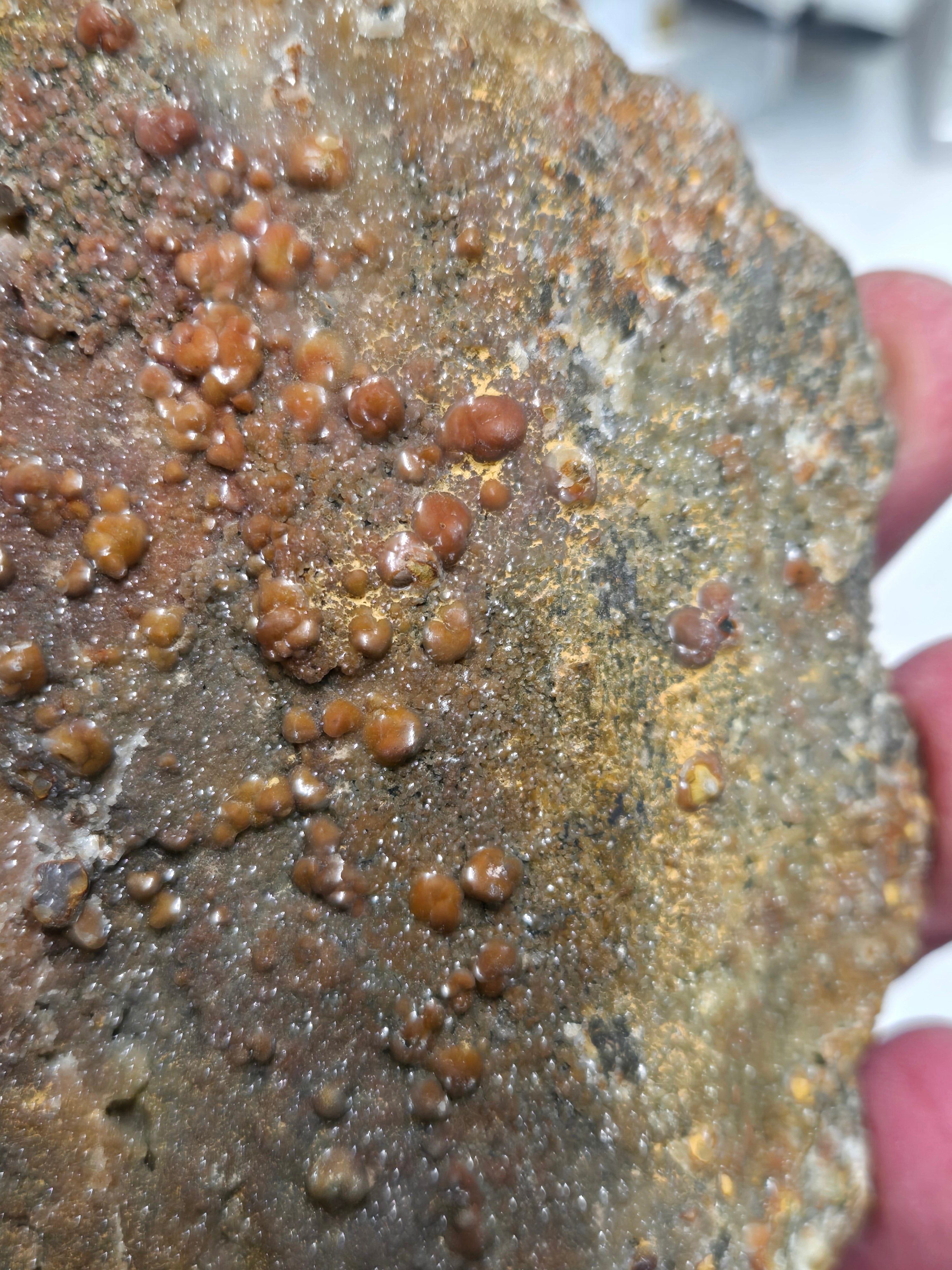 Greenockite included smithsonite Turkey fat