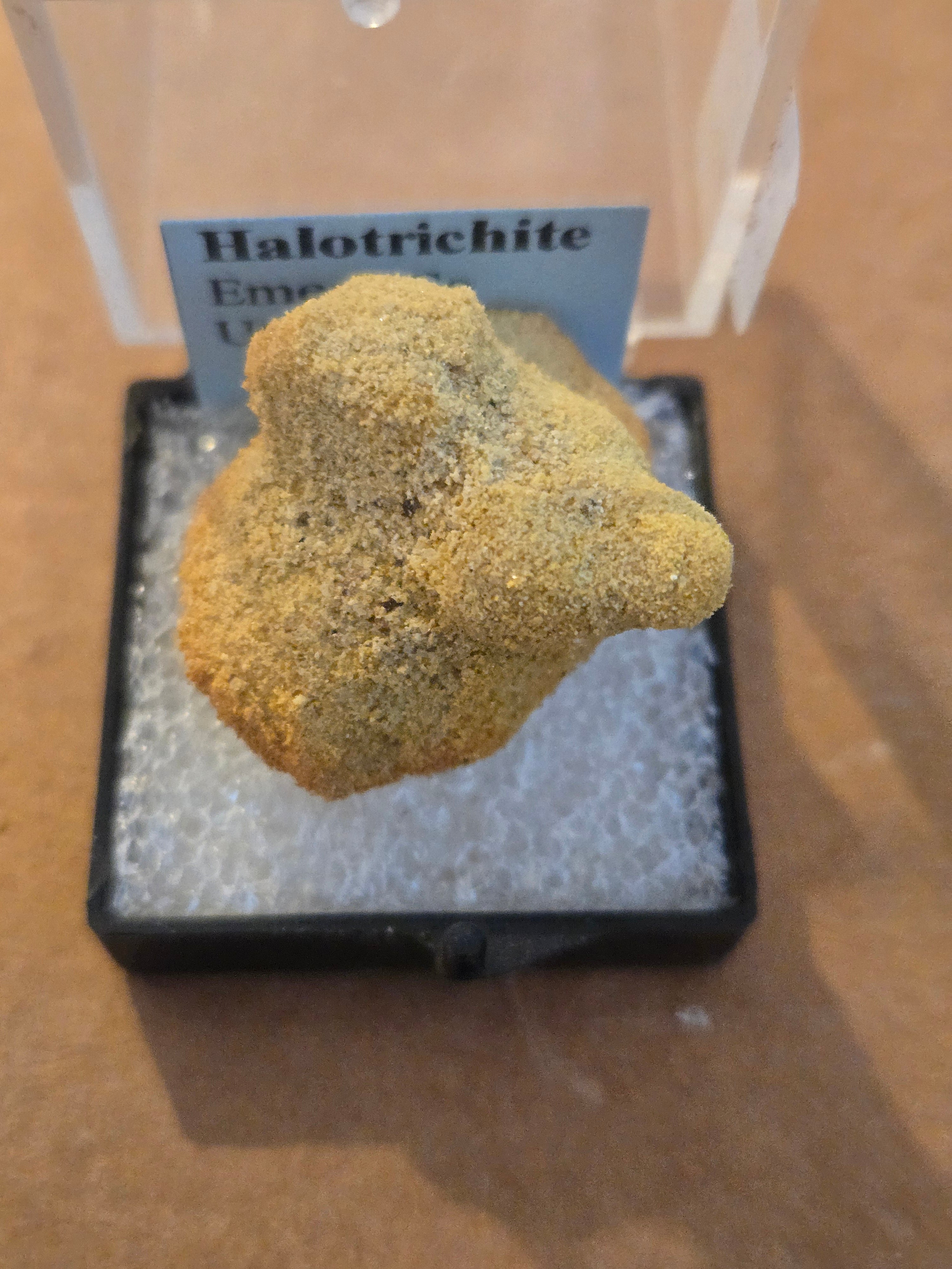 Halotrichite with copiapite