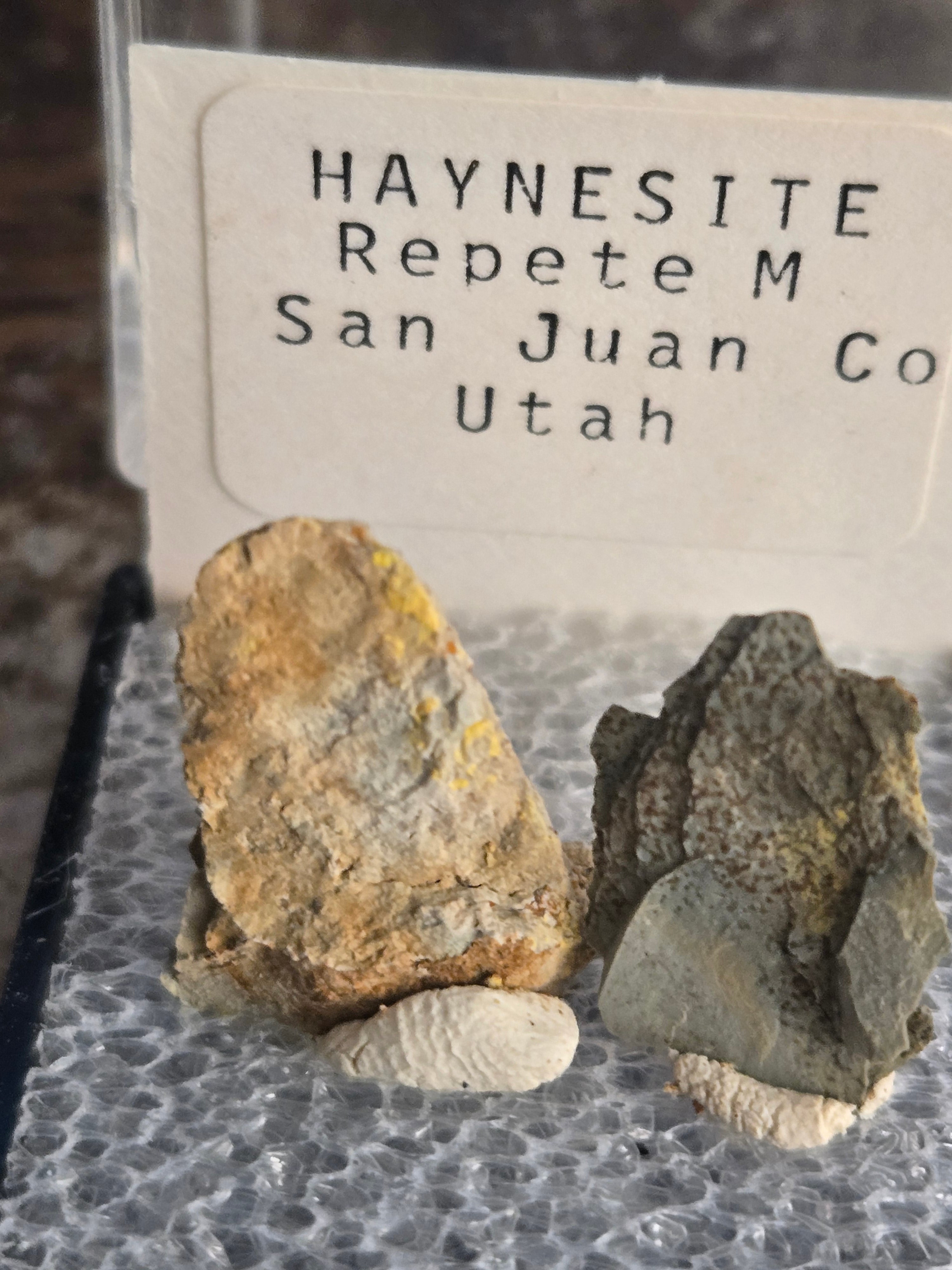 Haynesite