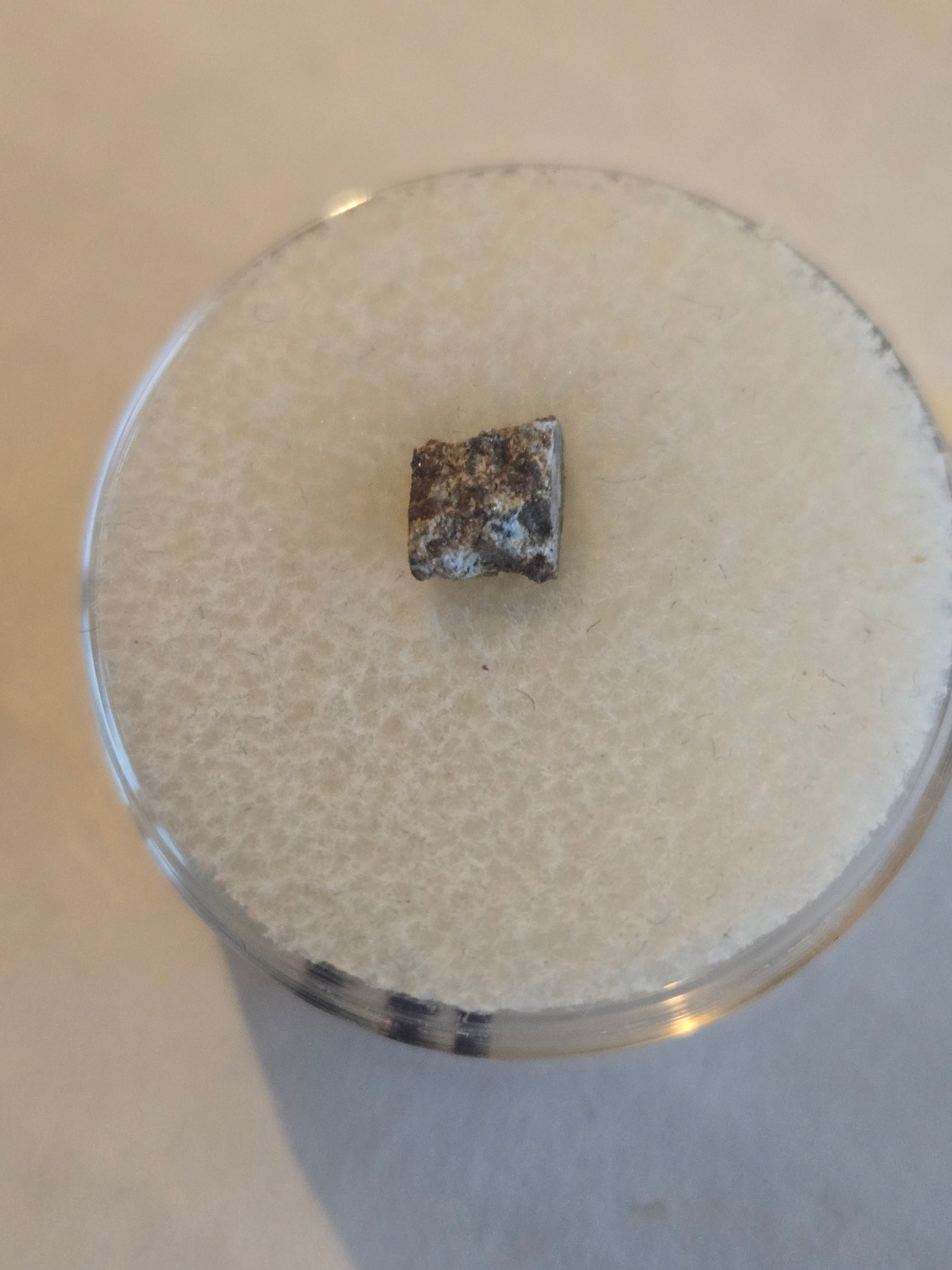 Hyattville meteorite specimen