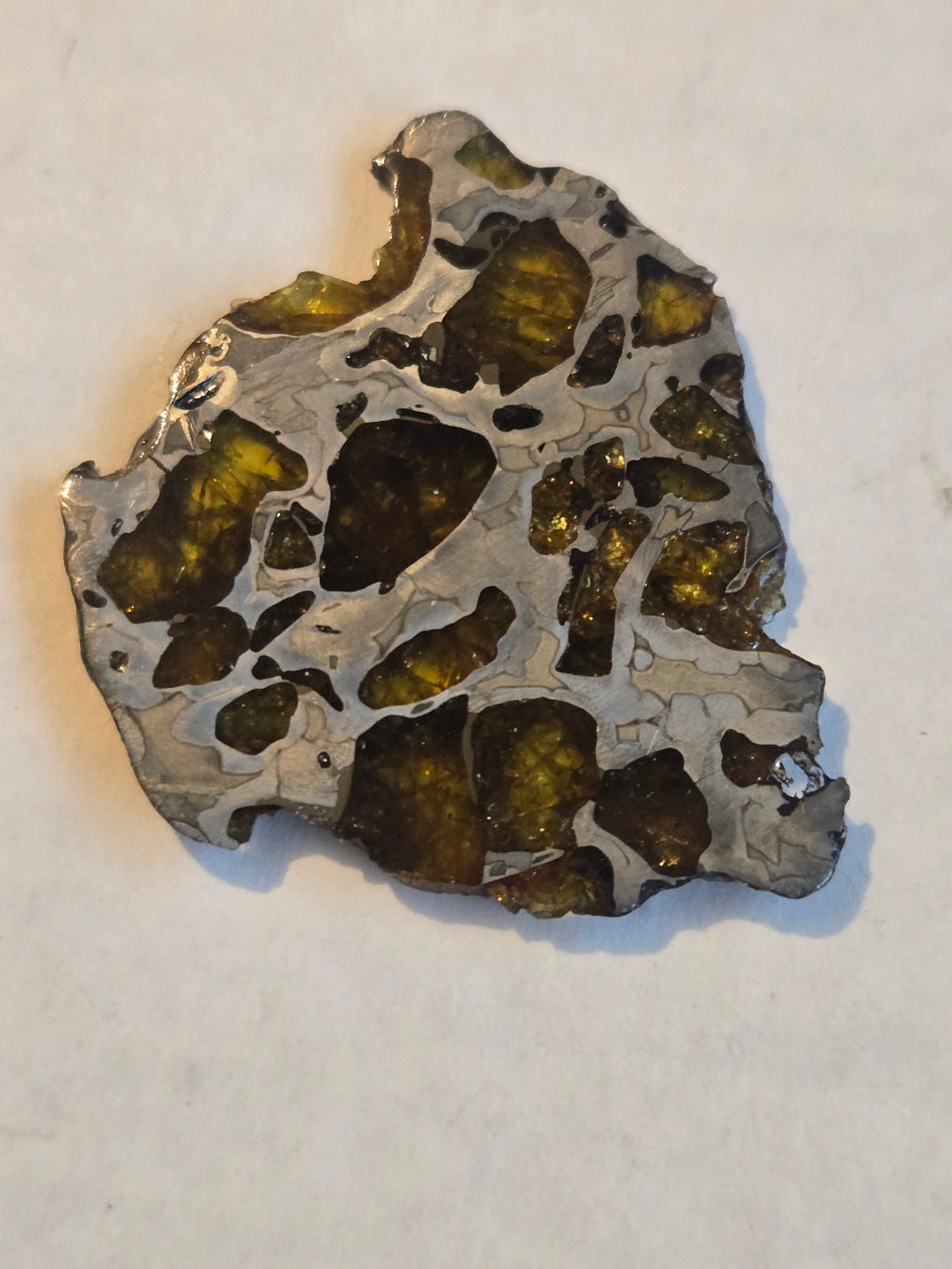 Imilac Pallasite