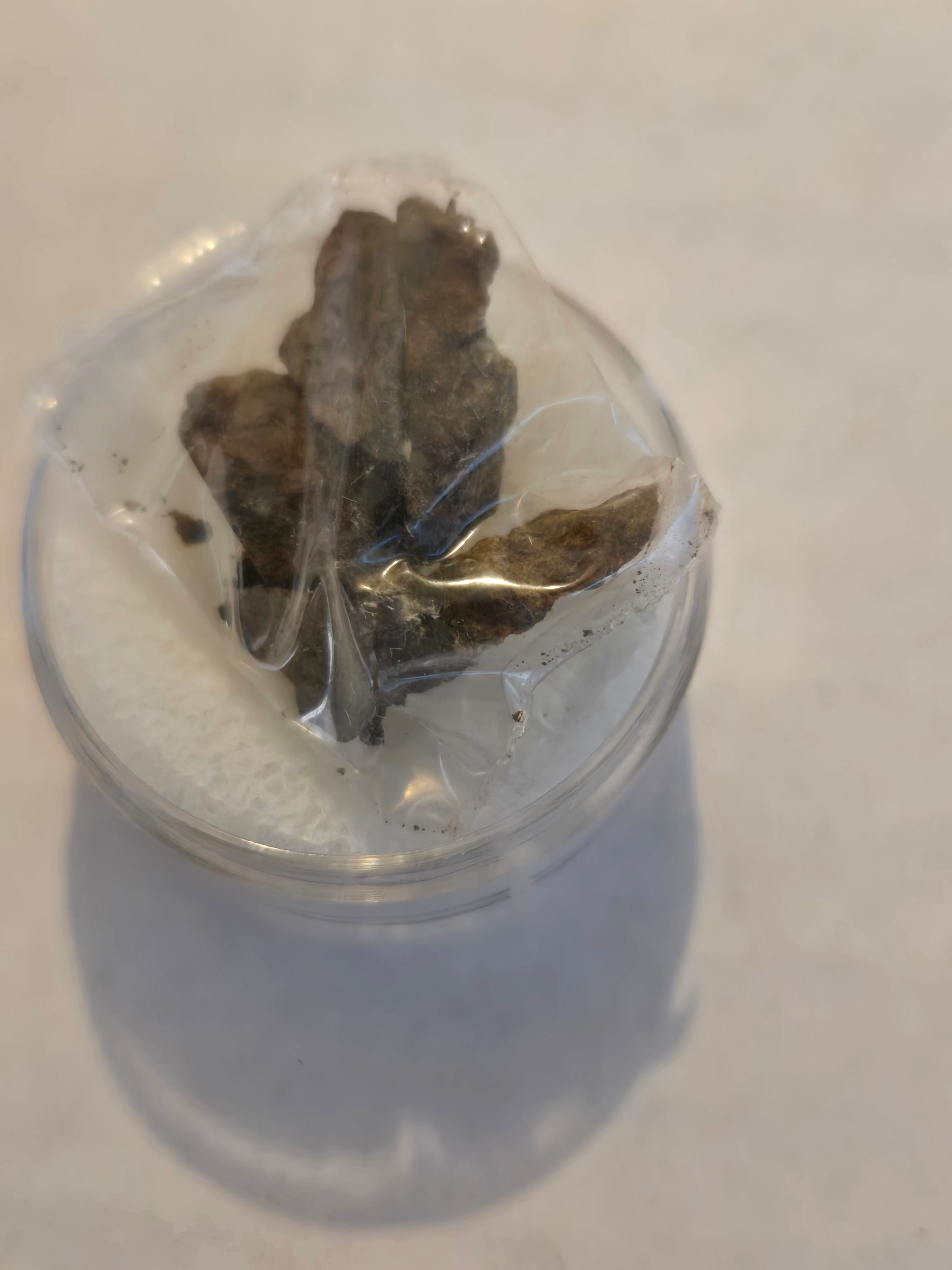 Jiddat Al Harasis 020 meteorite specimen