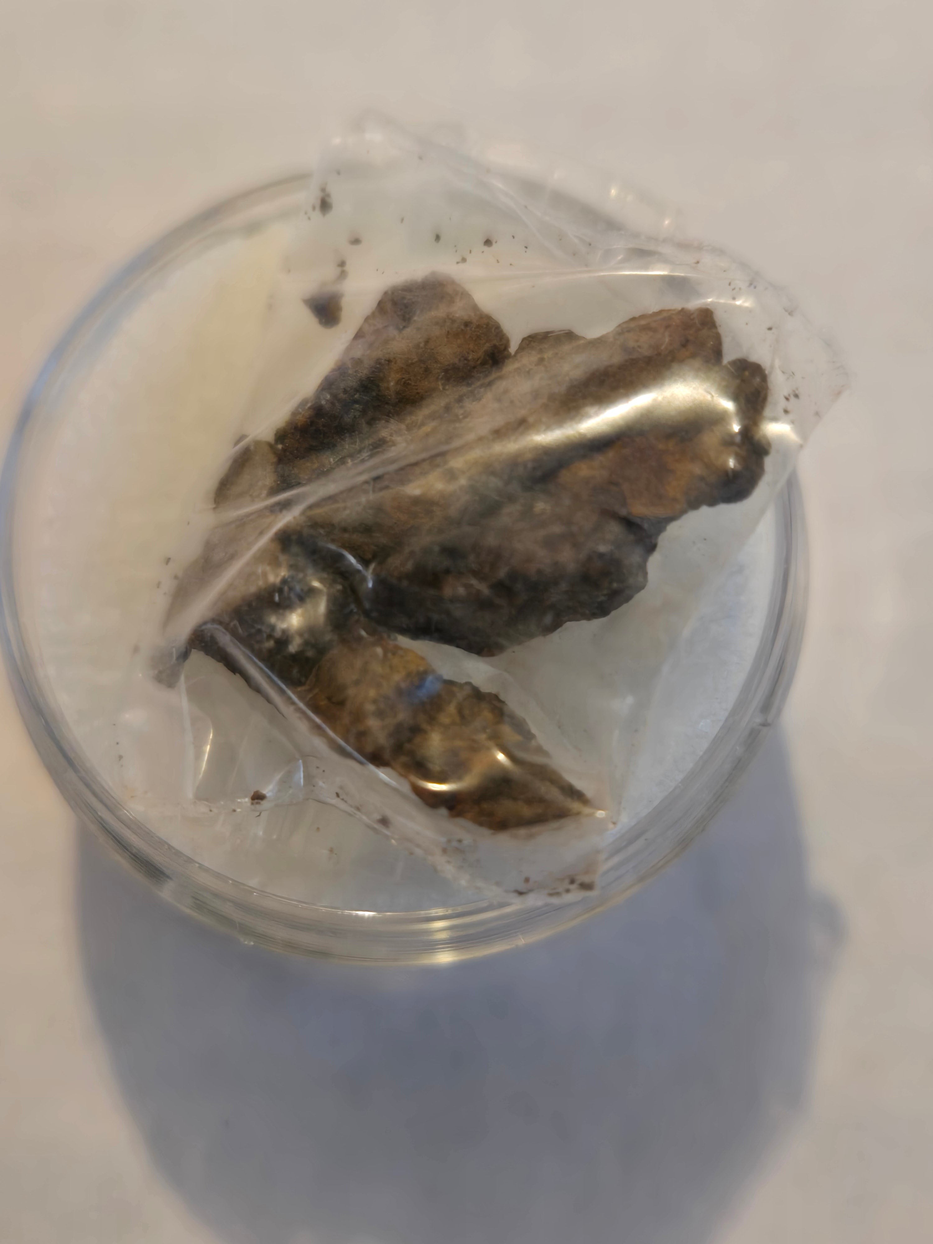 Jiddat Al Harasis 020 meteorite specimen