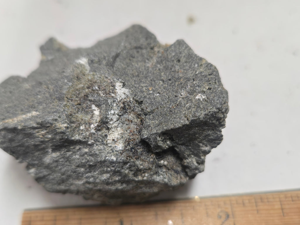 Kalsilite