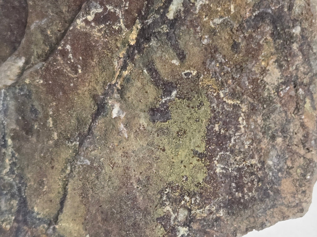 Kidwellite