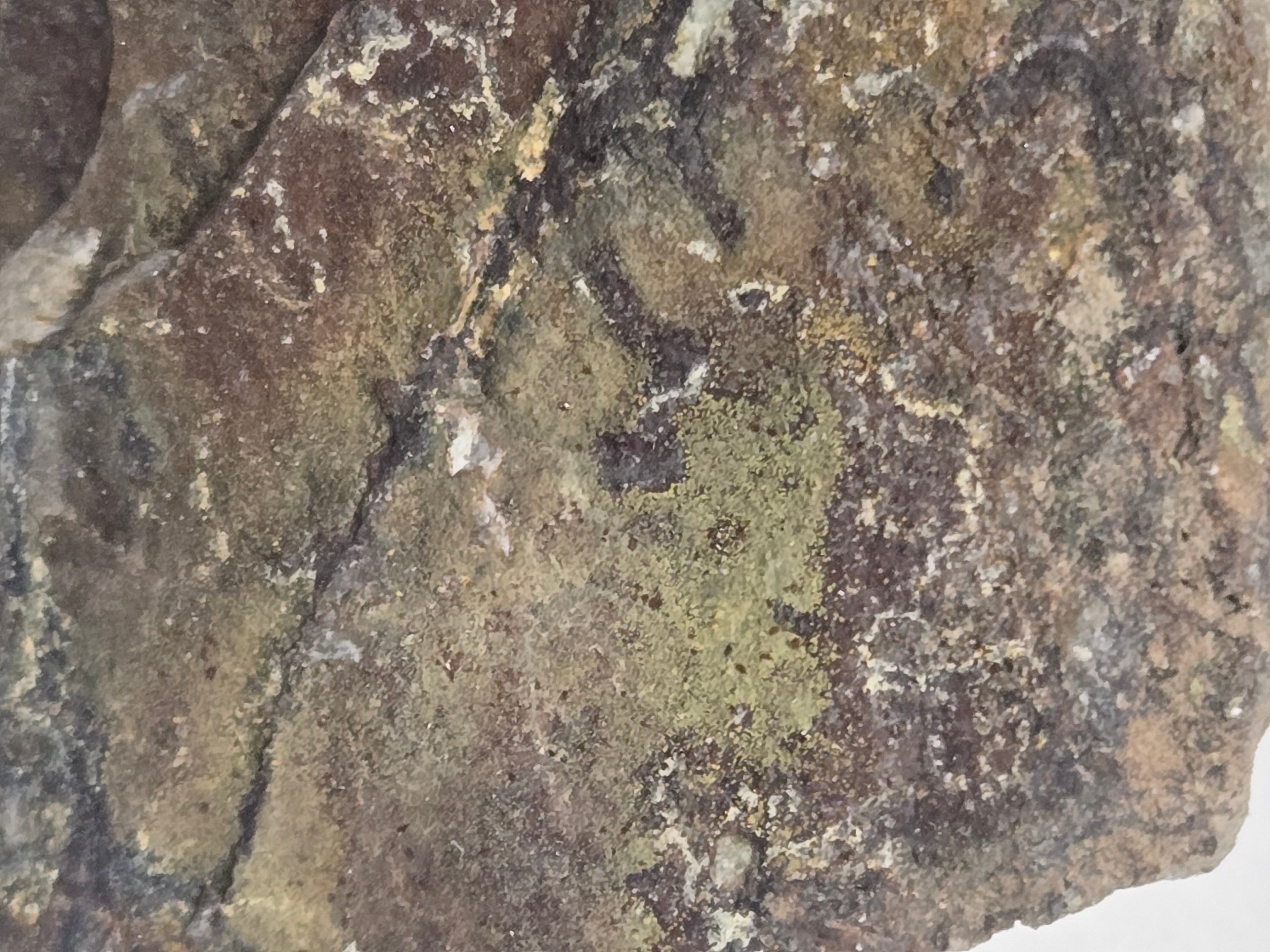 Kidwellite