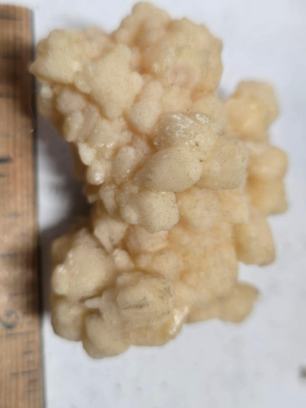 Kutnohorite