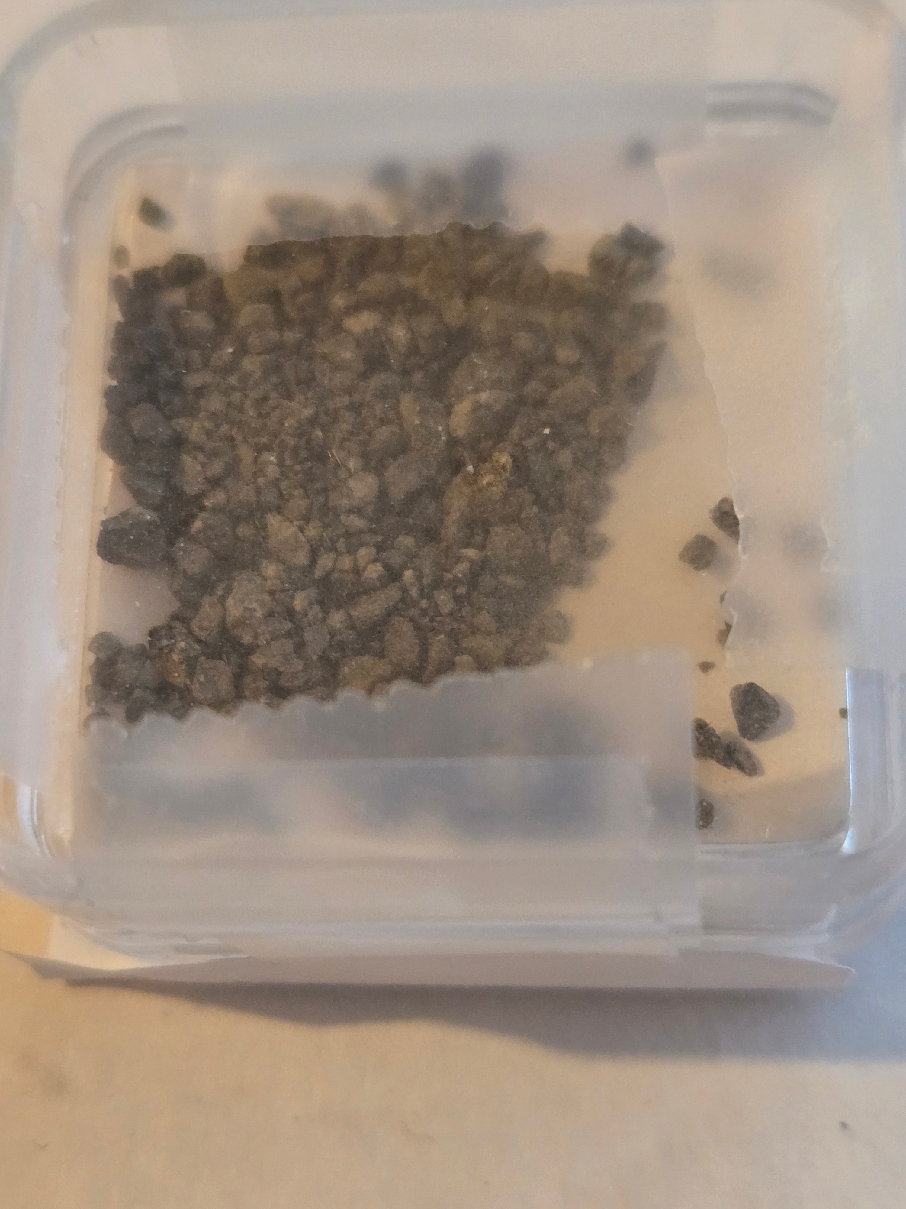 Ladder creek meteorite
