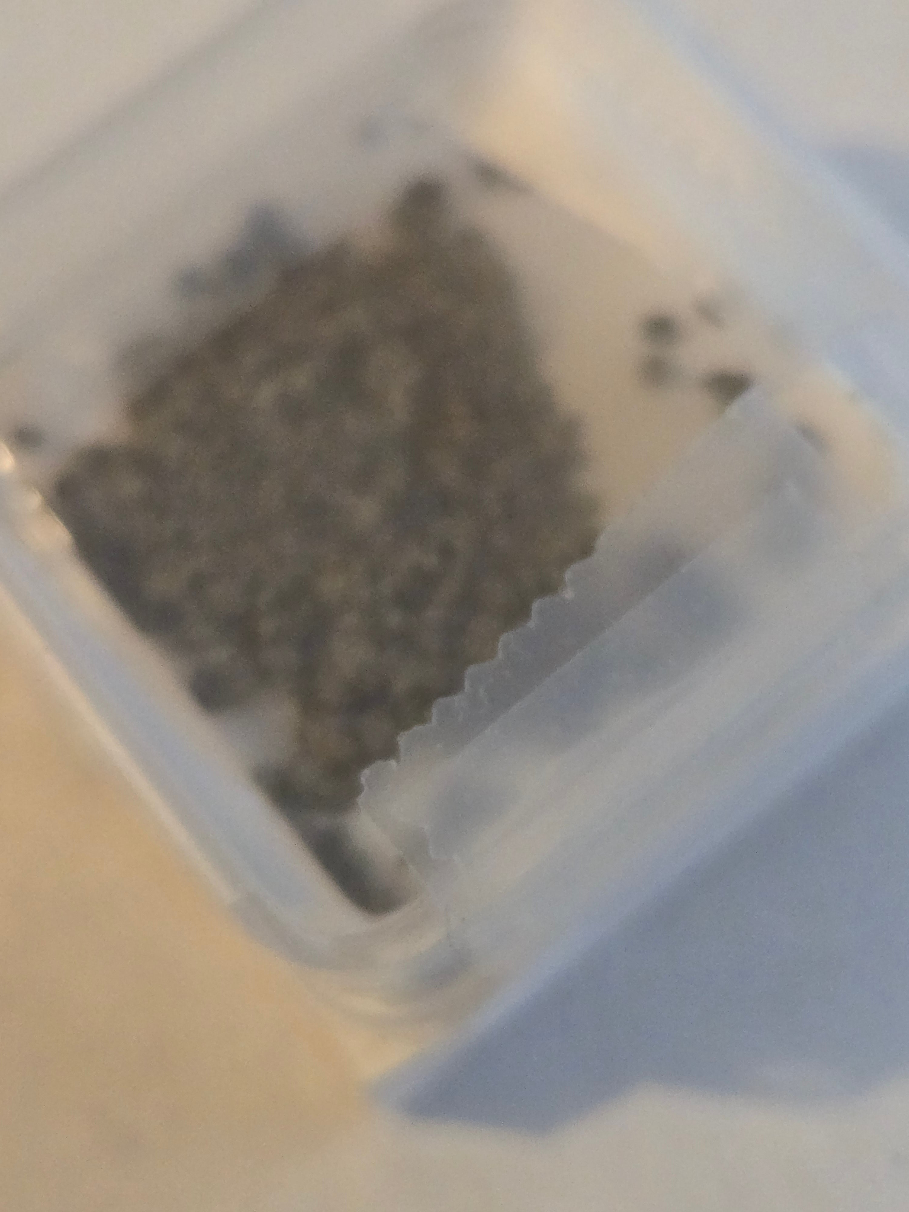 Ladder creek meteorite