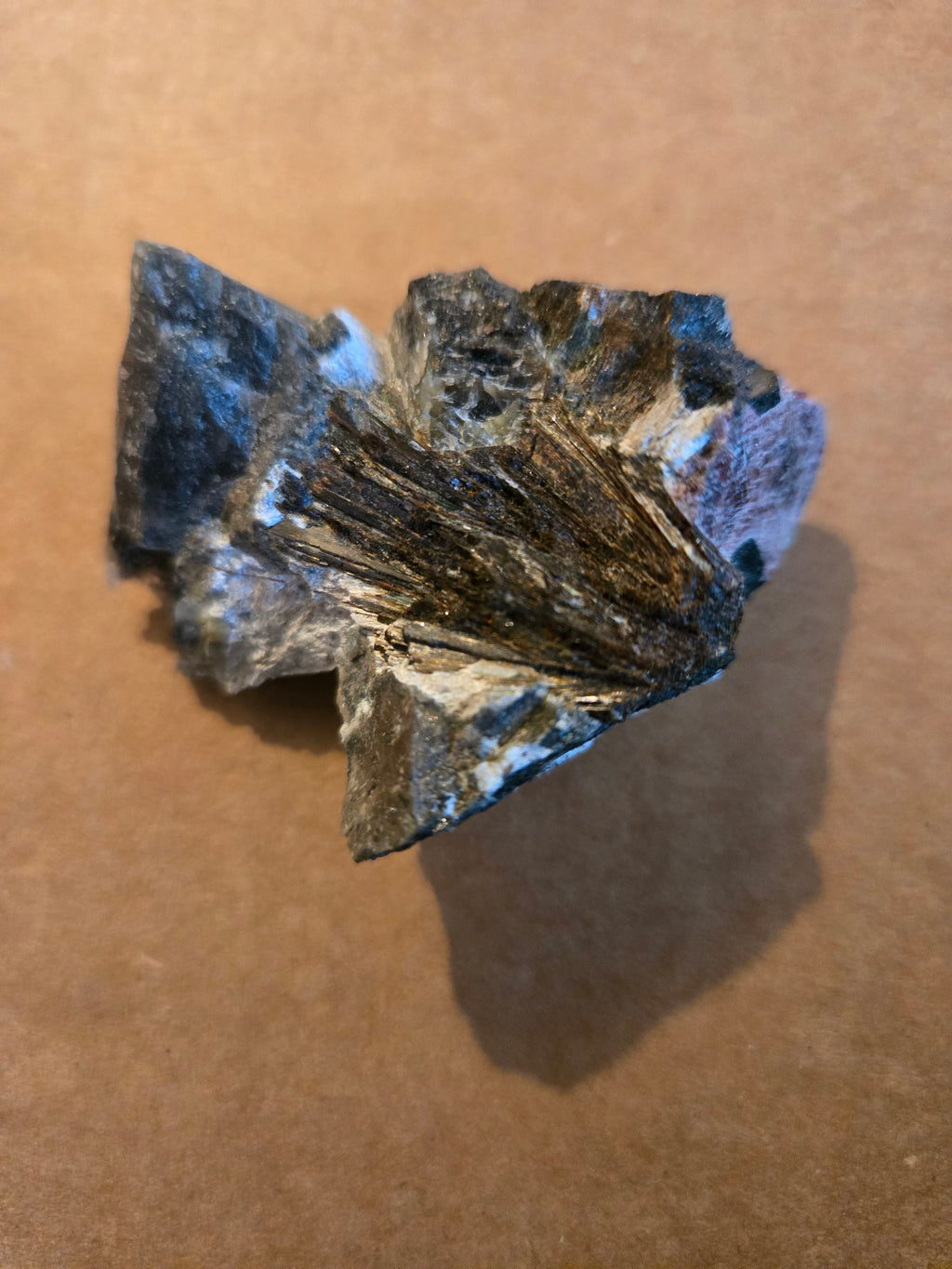 Lamprophyllite with eudialyte