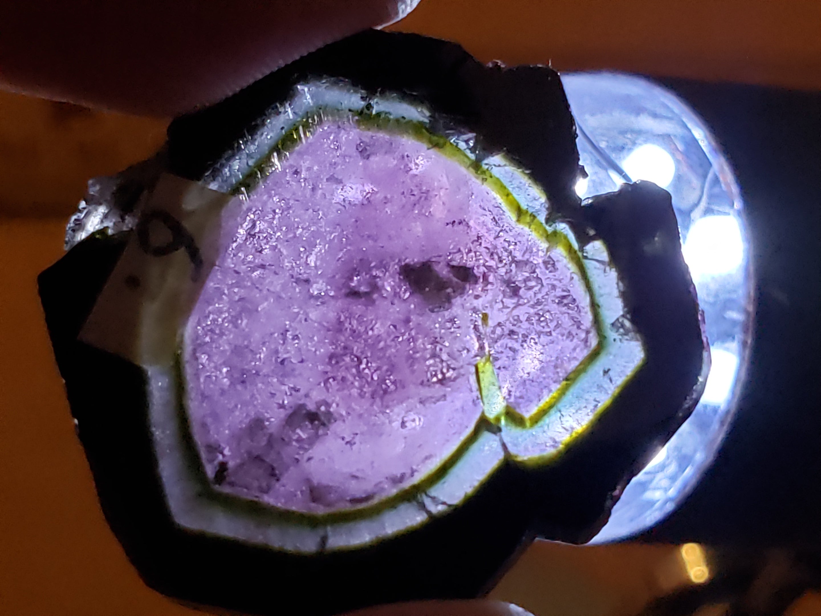 Liddicoatite Slice