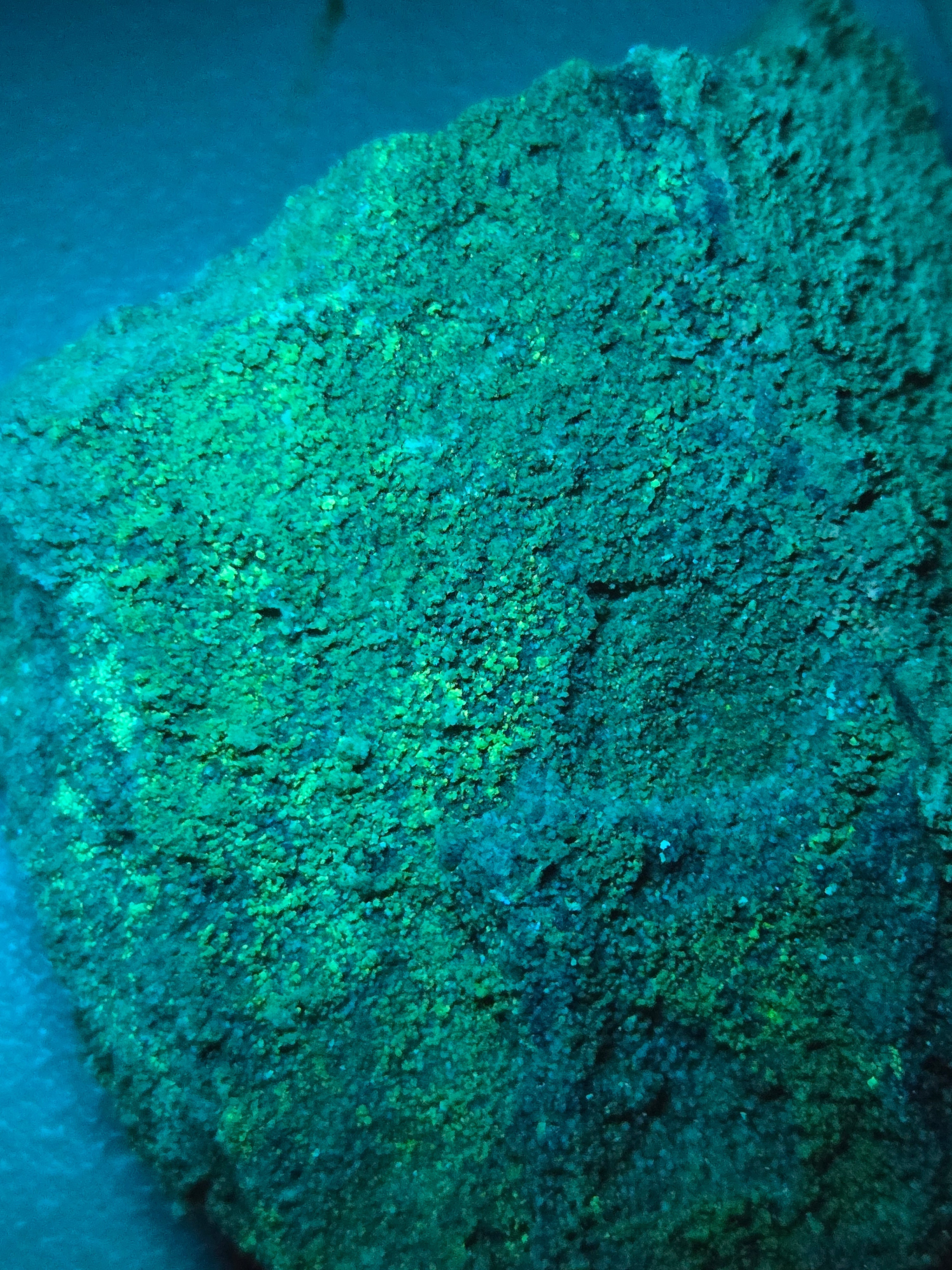 Liebigite with vanoxite