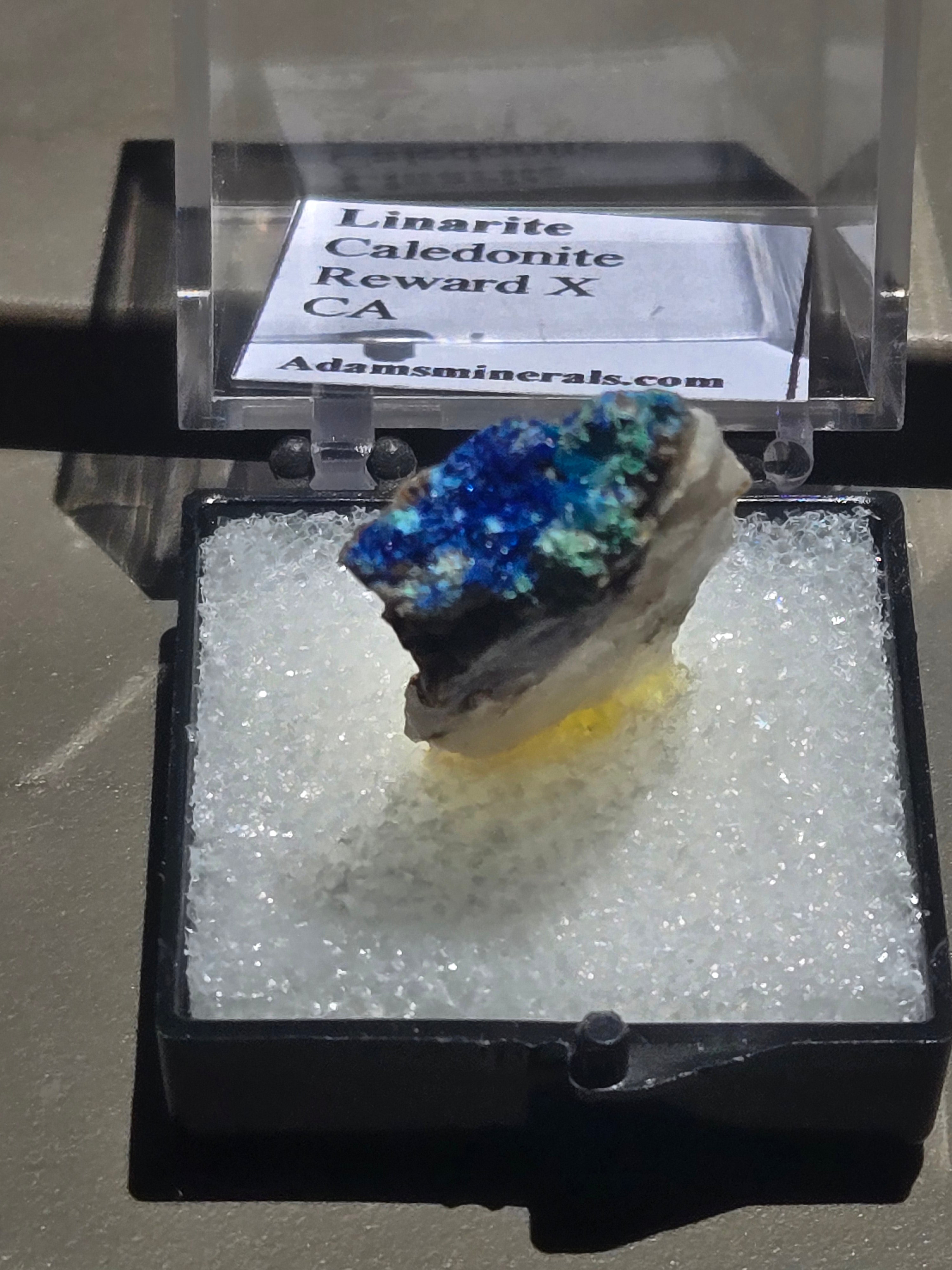 Linarite with caledonite