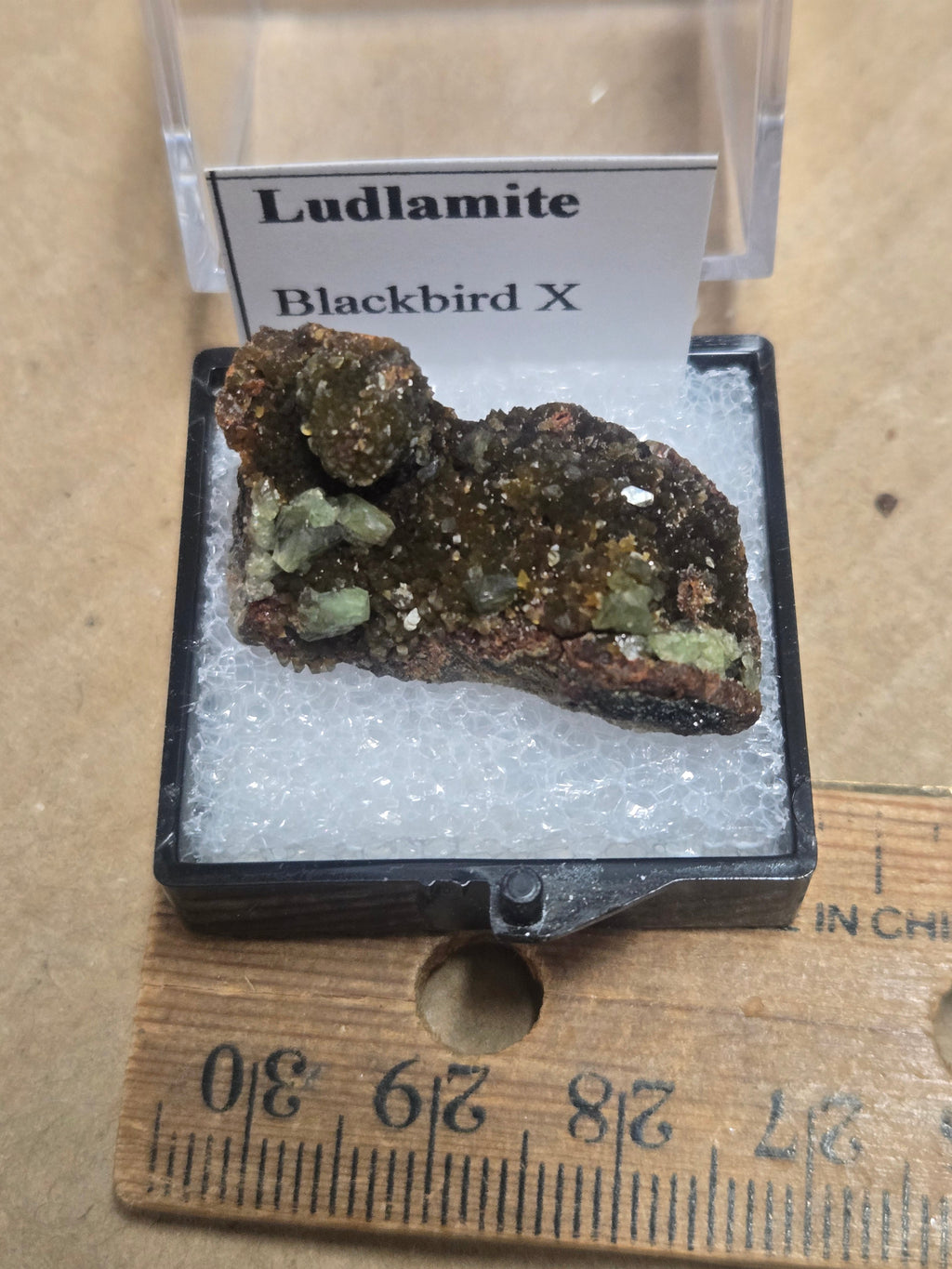 Ludlamite