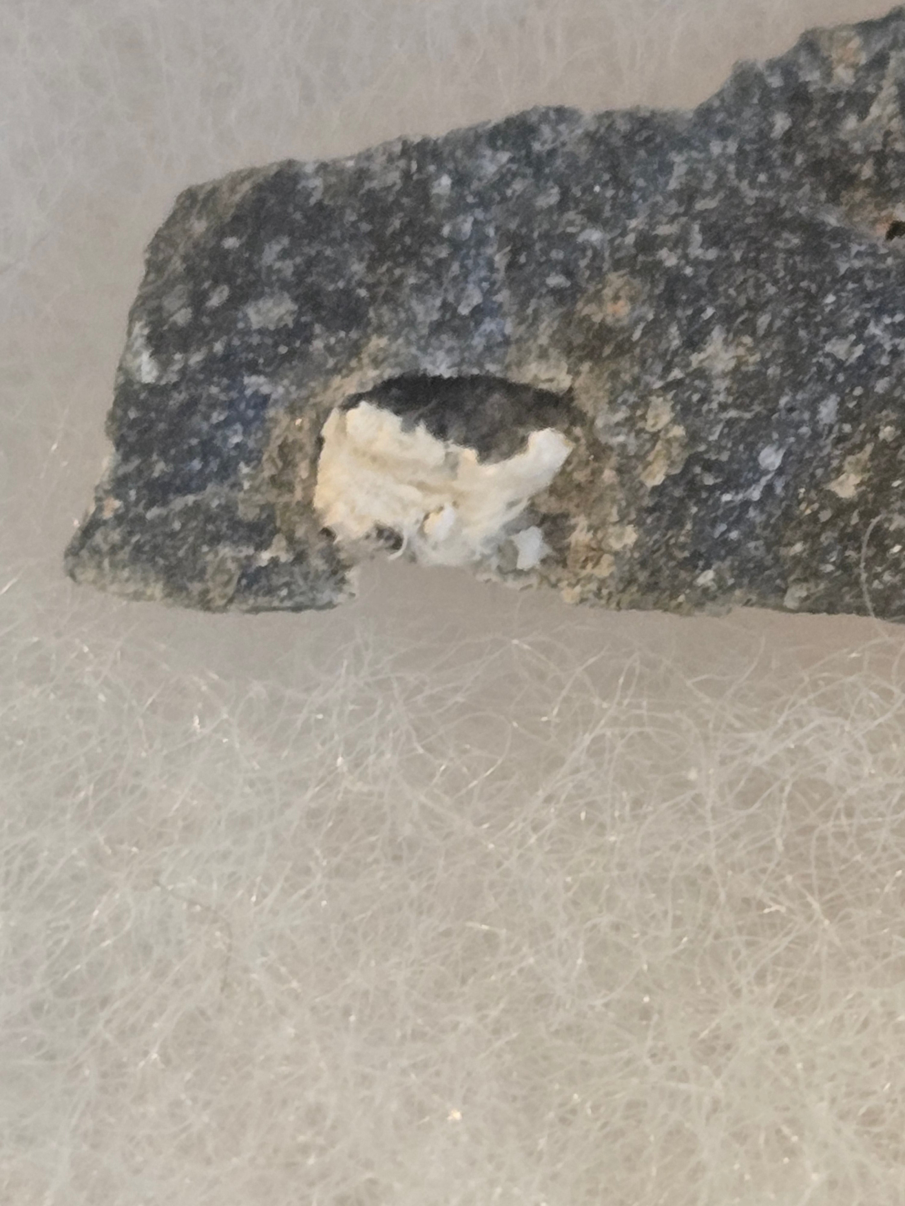 Makatite specimen