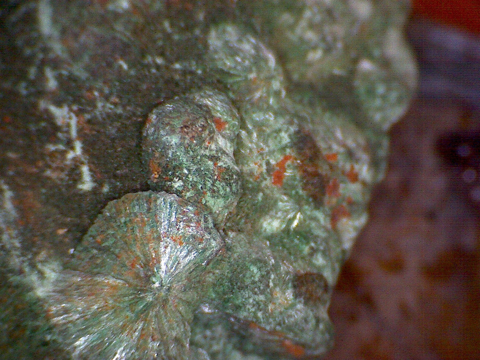 Malachite Sprays