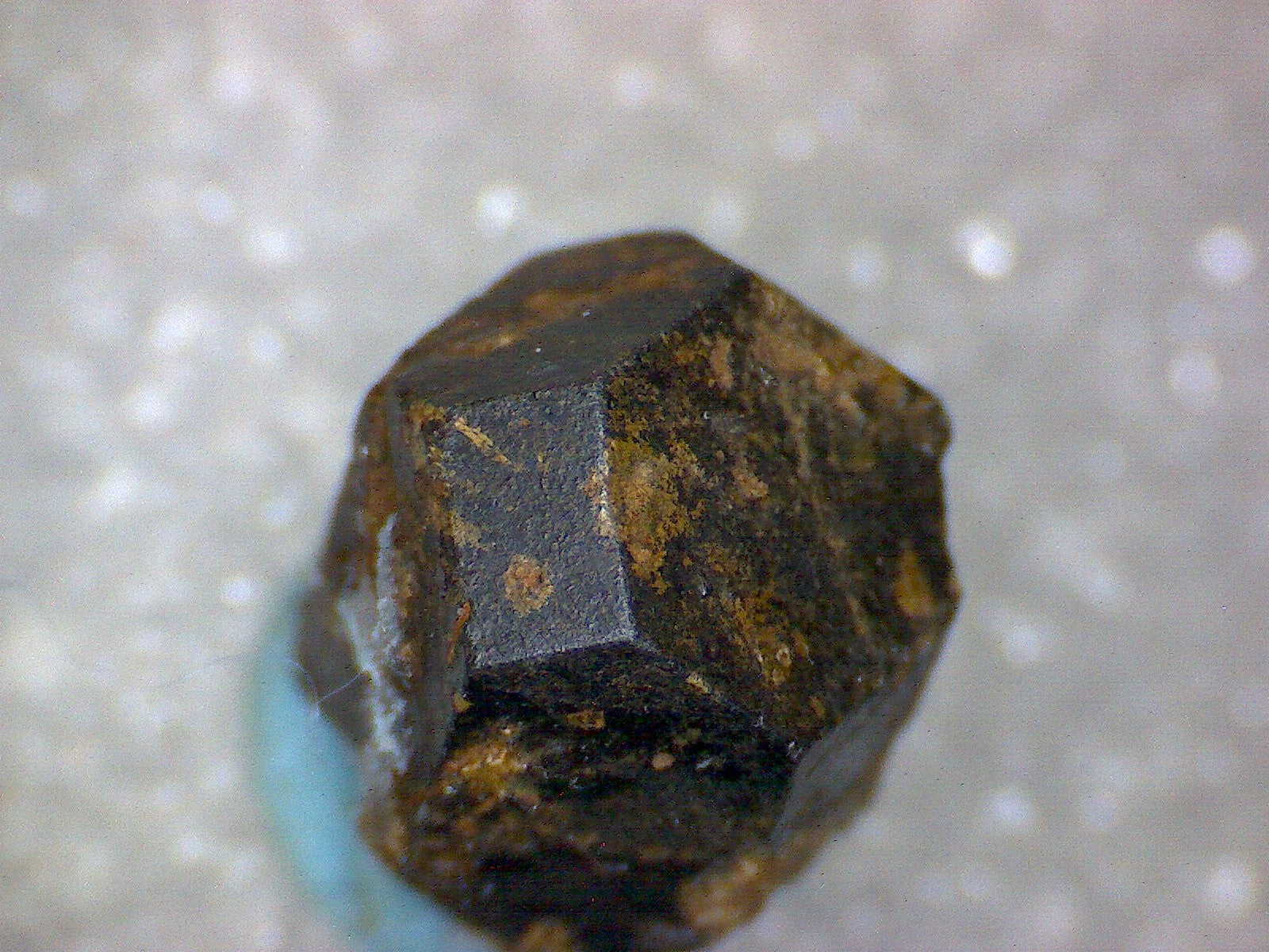 Manganotantalite
