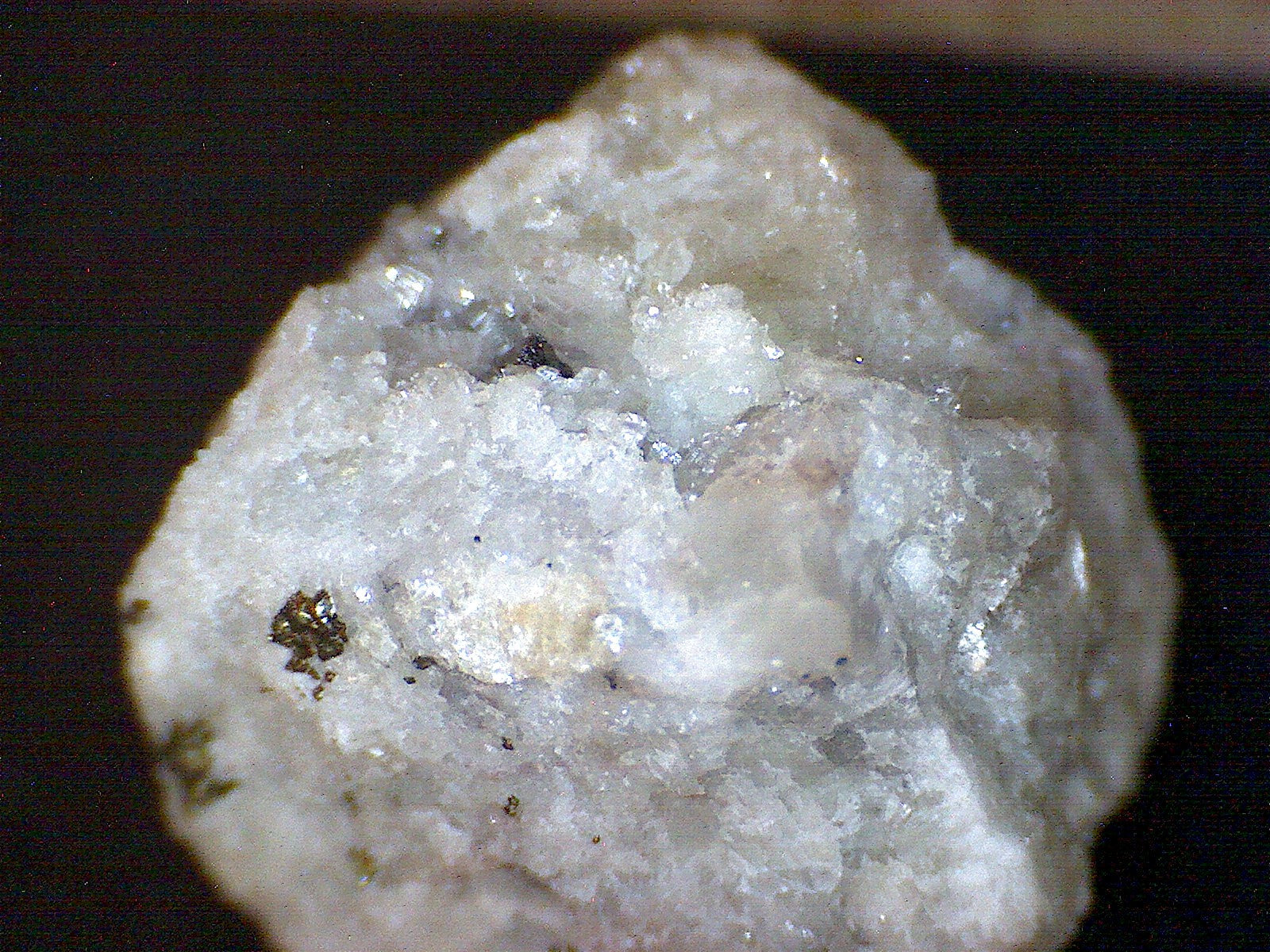 Marrite