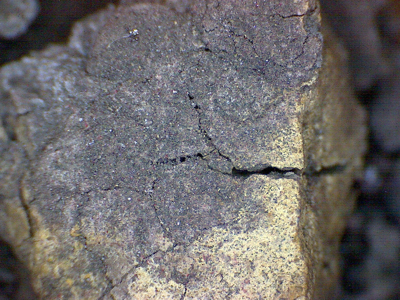 Metacinnabar mercury