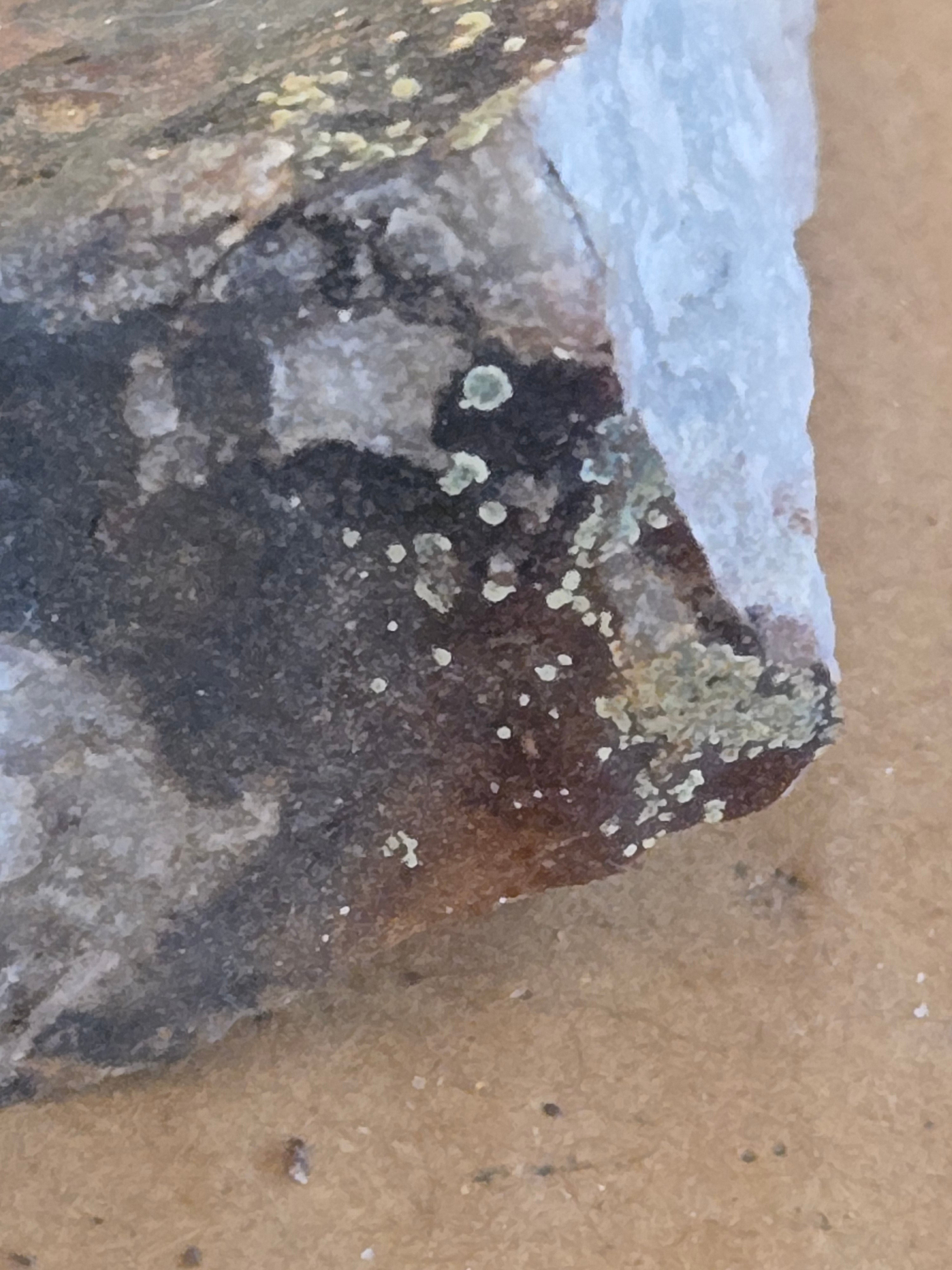 Meurigite K