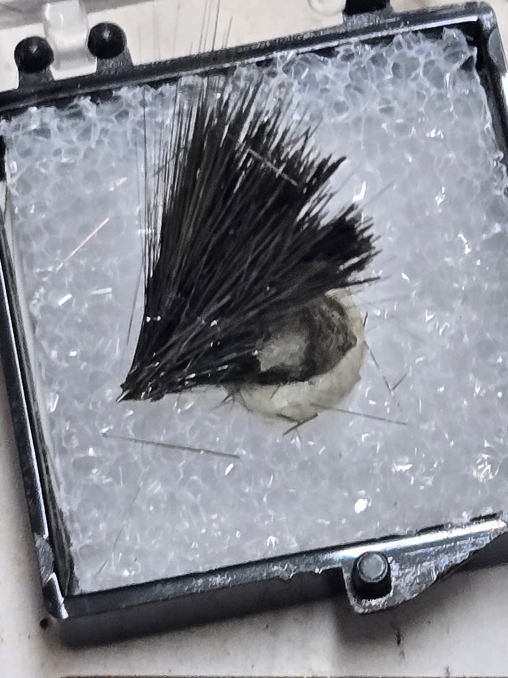 Millerite
