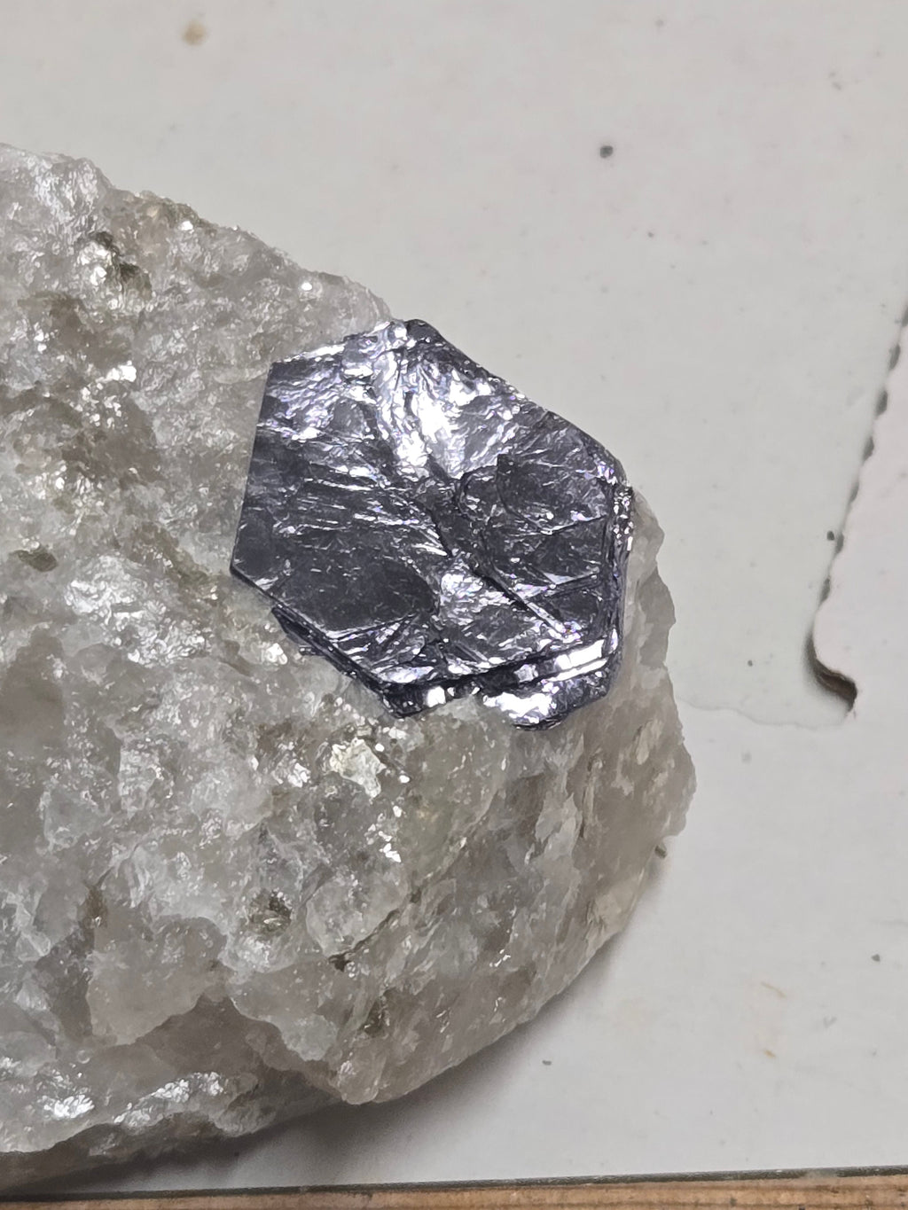Molybdenite
