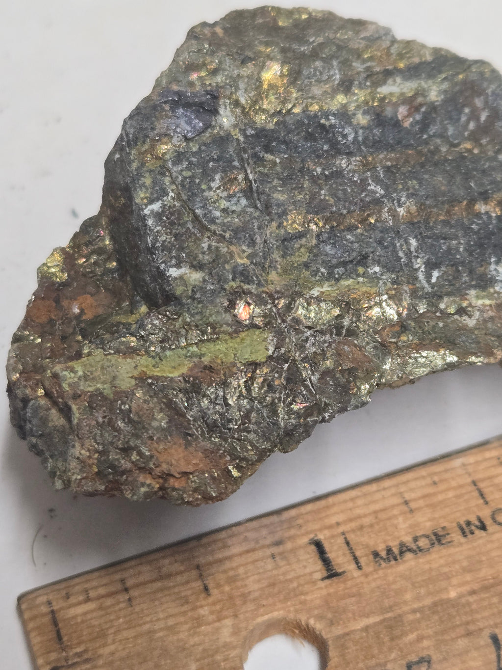 Molybdenite chalcopyrite specimen