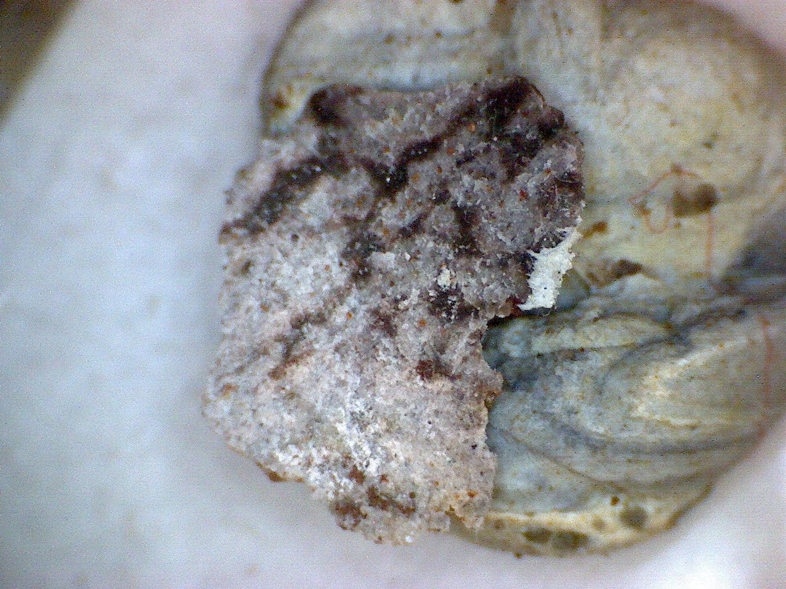 Mullite