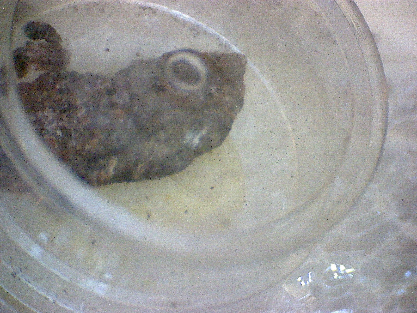 Nambulite