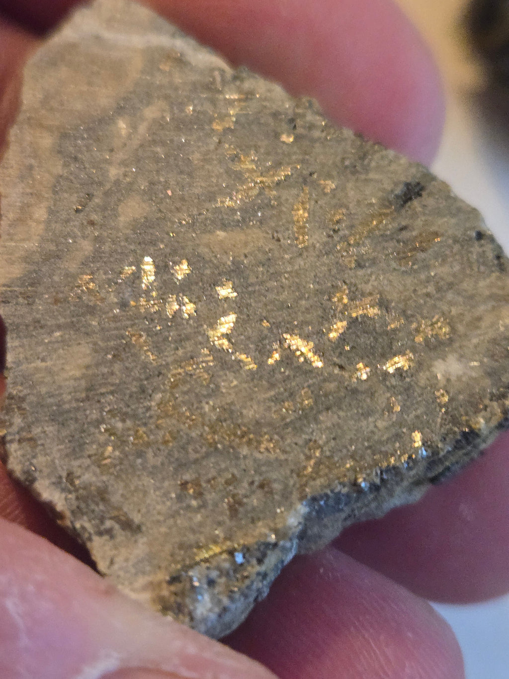 Native silver specimen