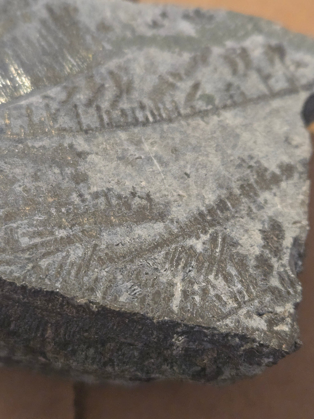 Native Silver specimen
