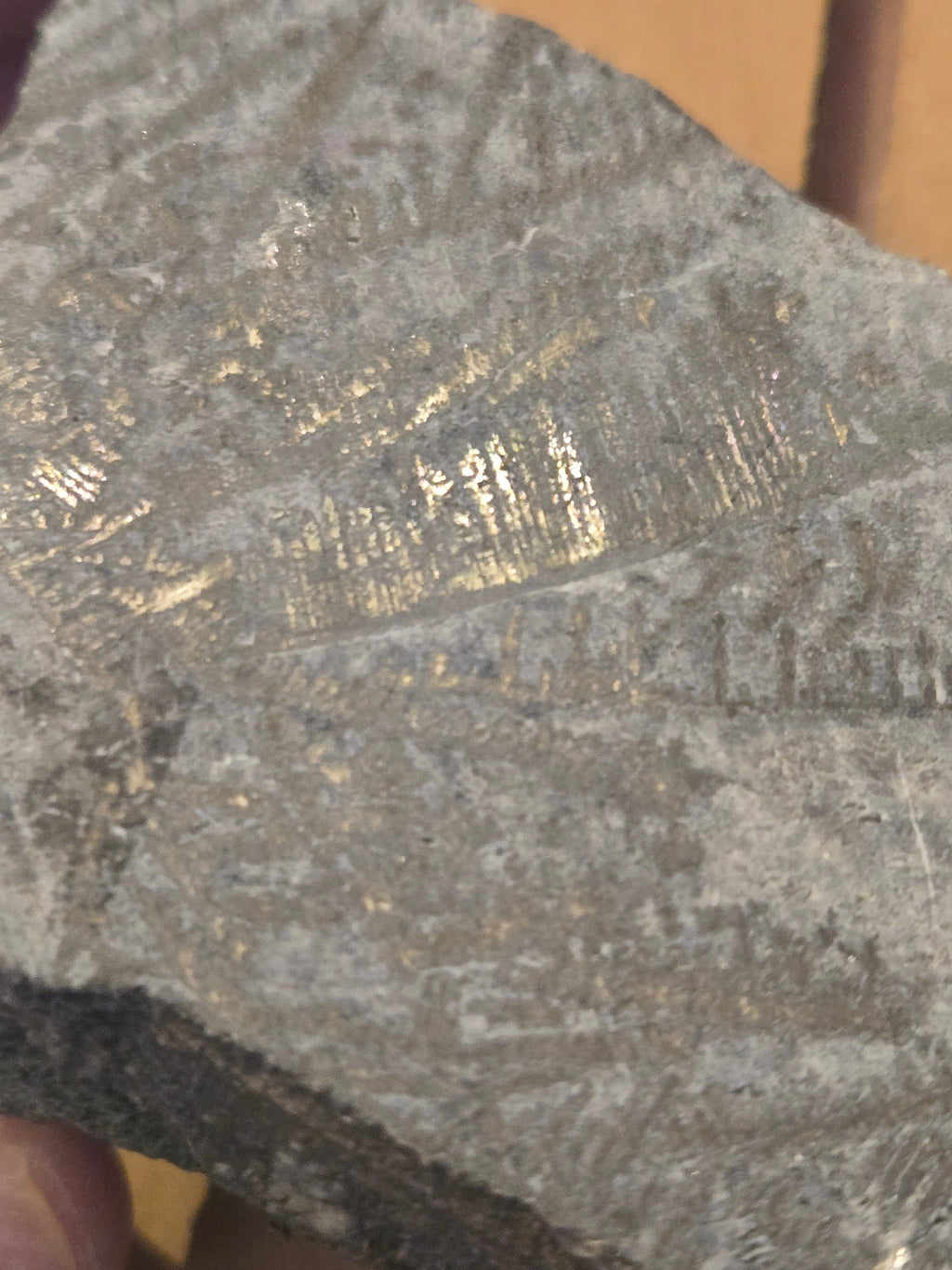 Native Silver specimen