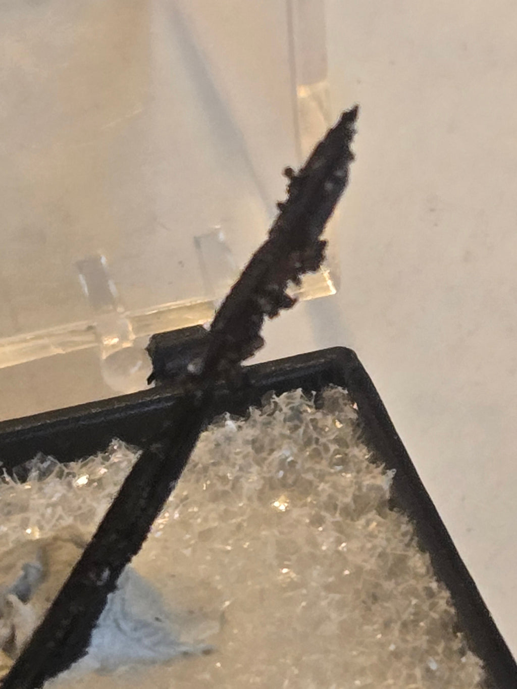 Native silver wire