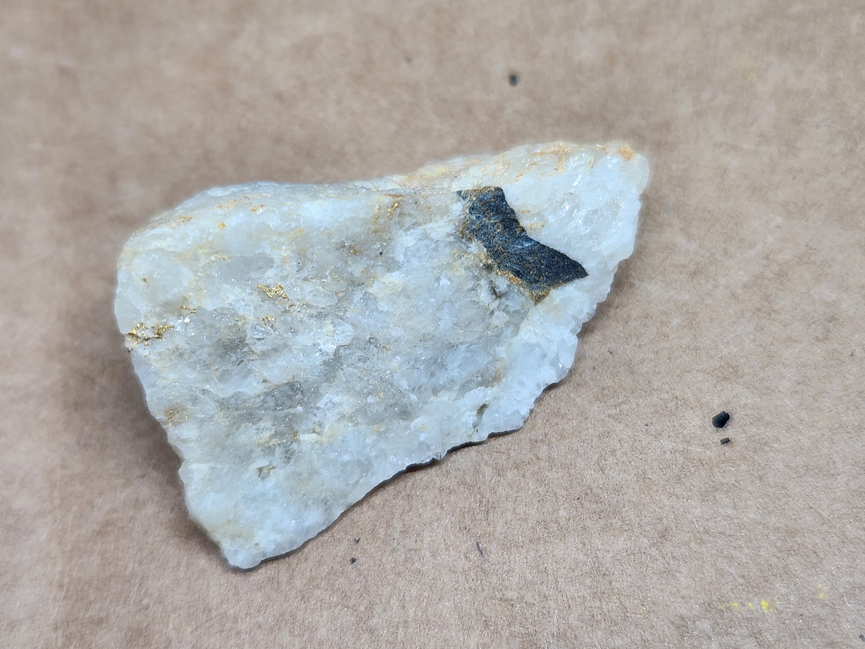 Nevada Gold in Quartz specimen