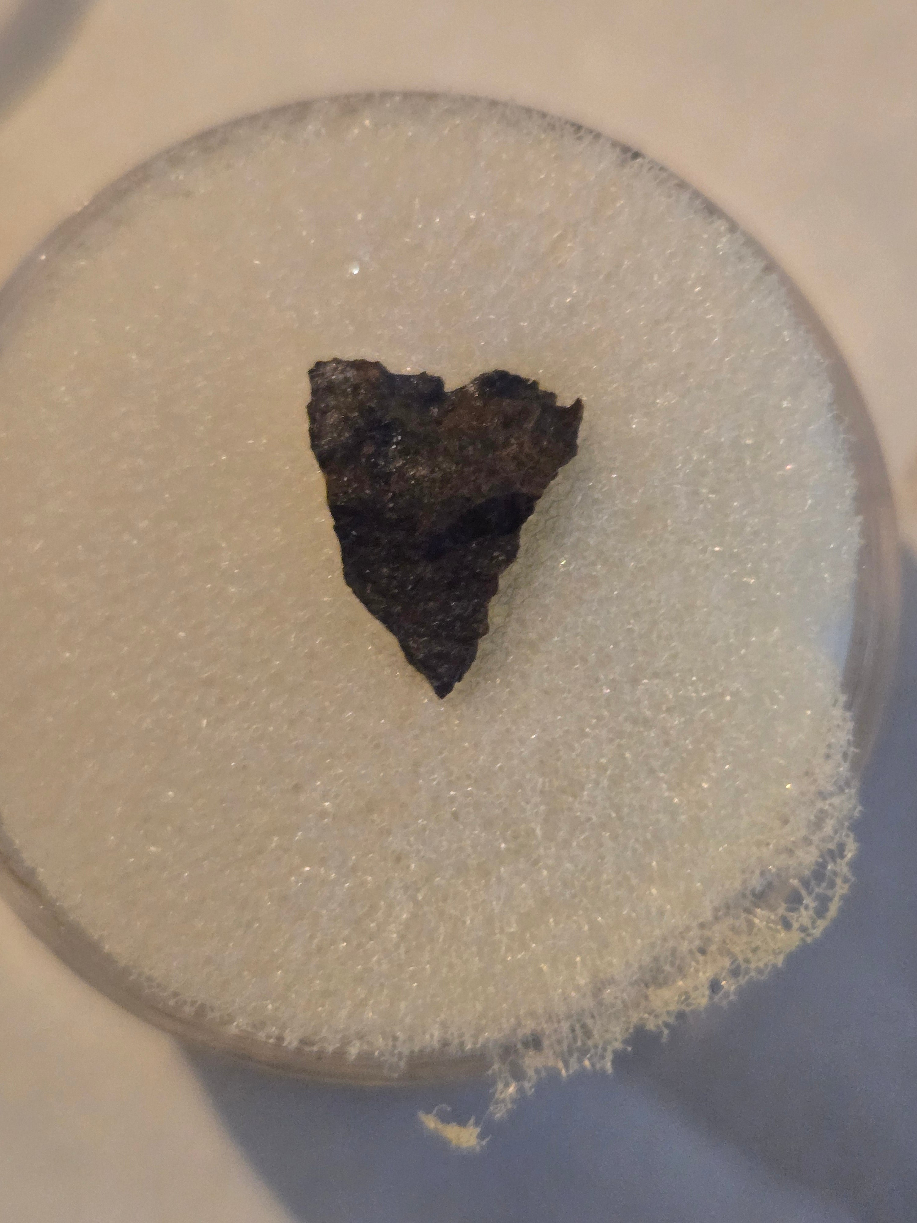 Northbranch Meteorite 1972 Kansas